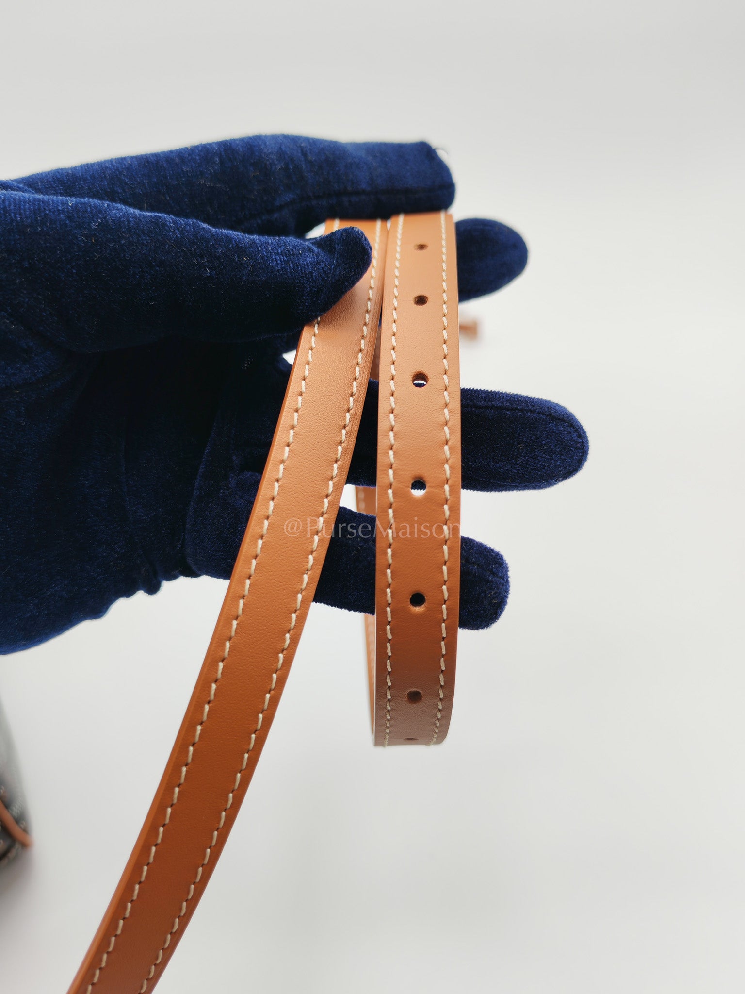 Cap Vert in Tan Goyardine Canvas Crossbody Bag | Purse Maison Luxury Bags Shop