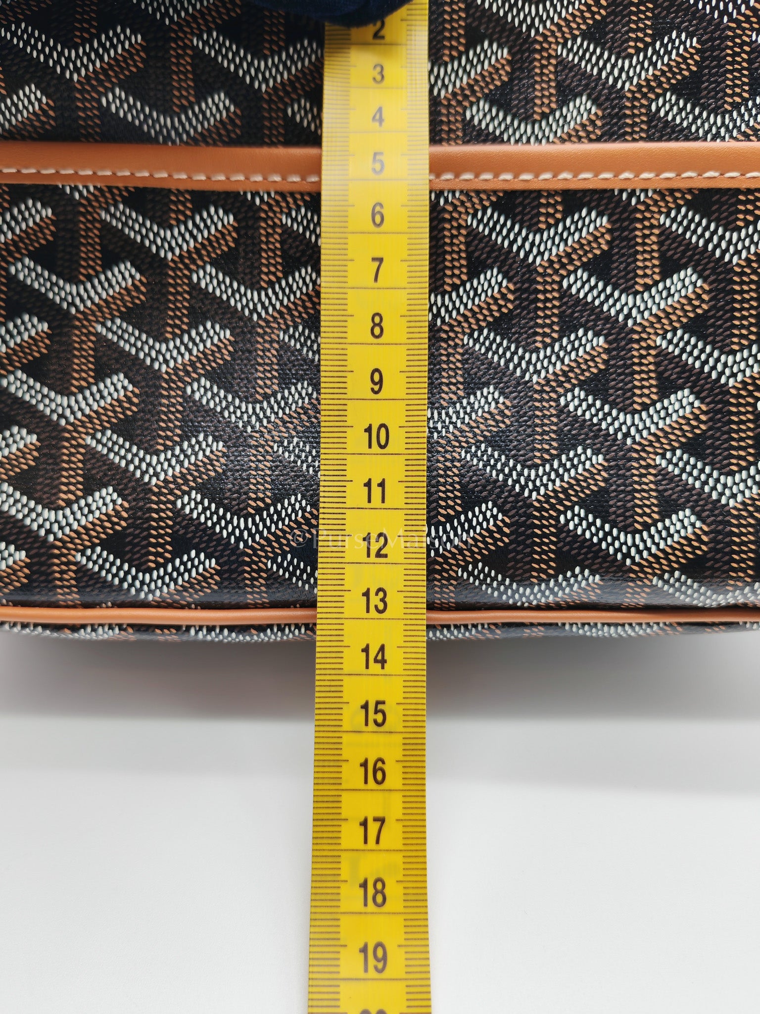 Cap Vert in Tan Goyardine Canvas Crossbody Bag | Purse Maison Luxury Bags Shop