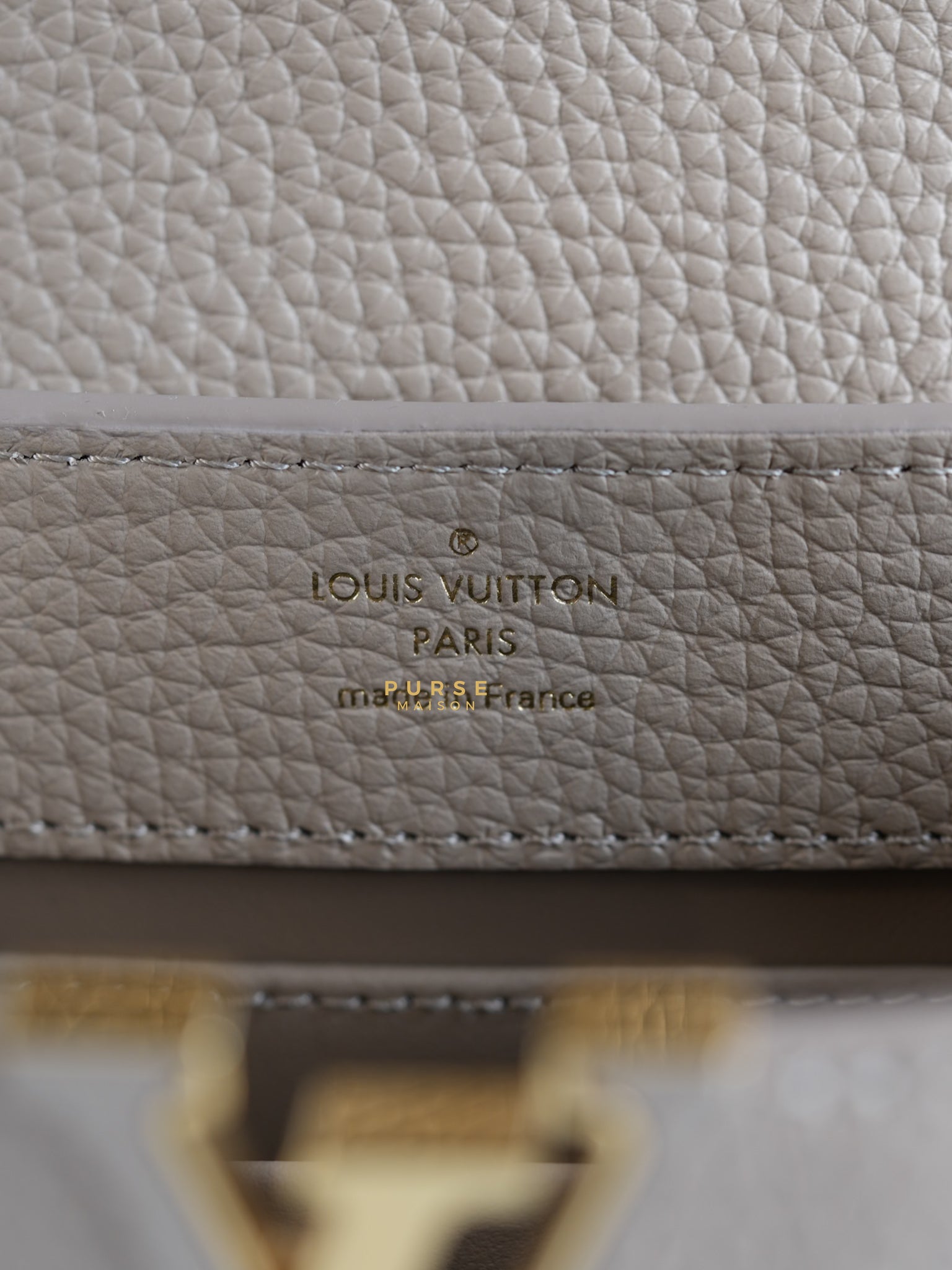 Capucines Mini Beige and Snakeskin Handle Bag (Microchip) | Purse Maison Luxury Bags Shop