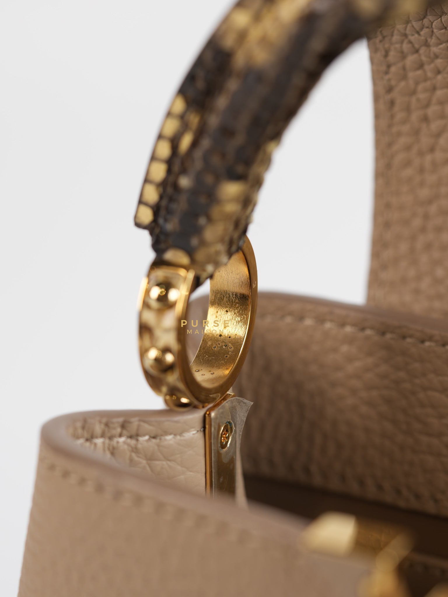 Capucines Mini Beige and Snakeskin Handle Bag (Microchip) | Purse Maison Luxury Bags Shop