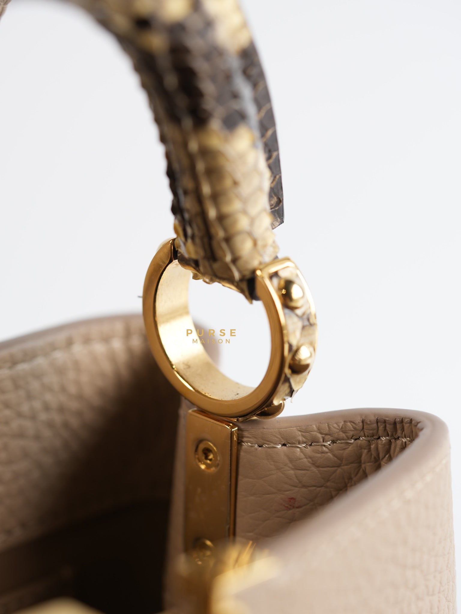 Capucines Mini Beige and Snakeskin Handle Bag (Microchip) | Purse Maison Luxury Bags Shop