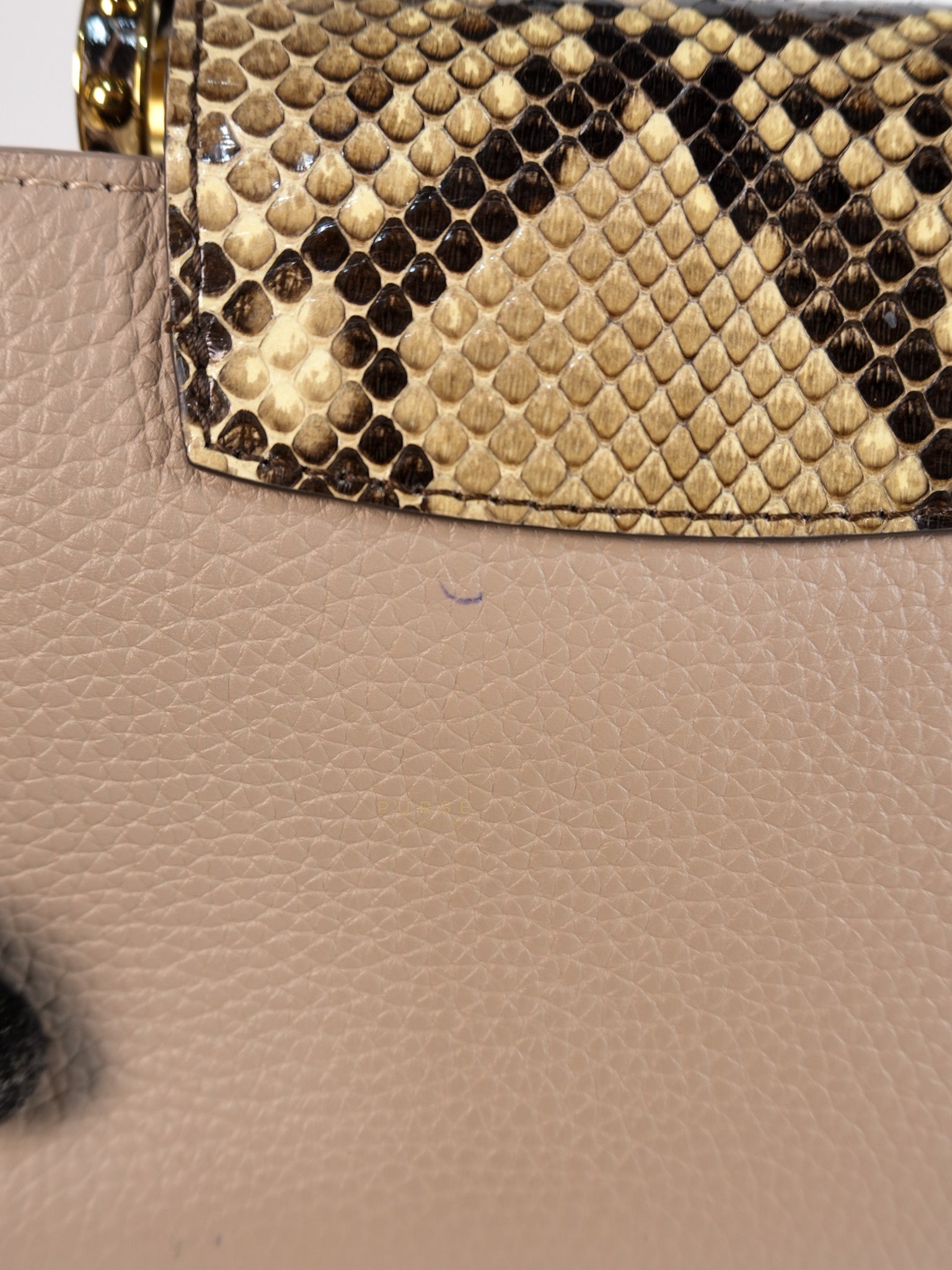 Capucines Mini Beige and Snakeskin Handle Bag (Microchip) | Purse Maison Luxury Bags Shop