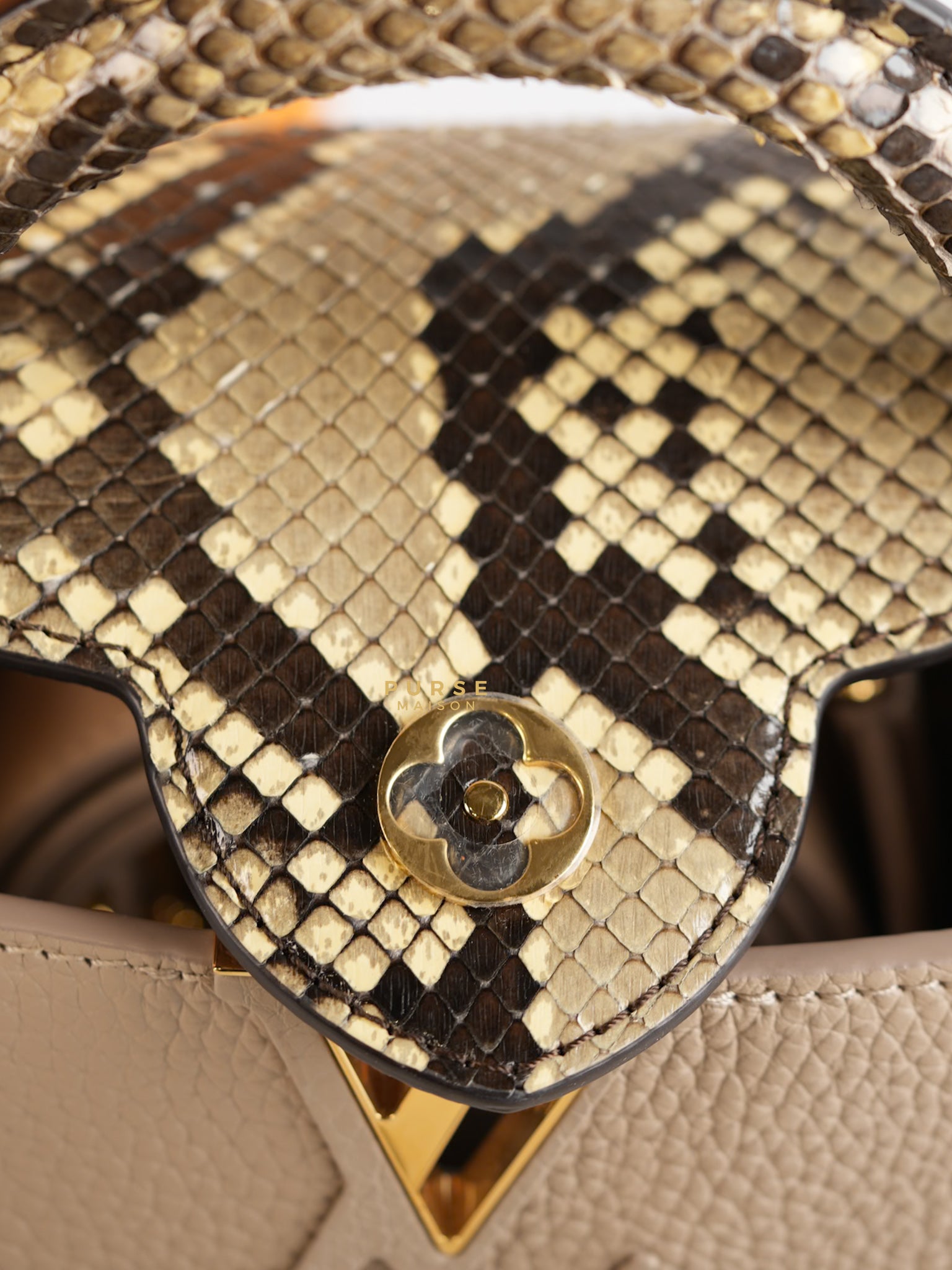 Capucines Mini Beige and Snakeskin Handle Bag (Microchip) | Purse Maison Luxury Bags Shop