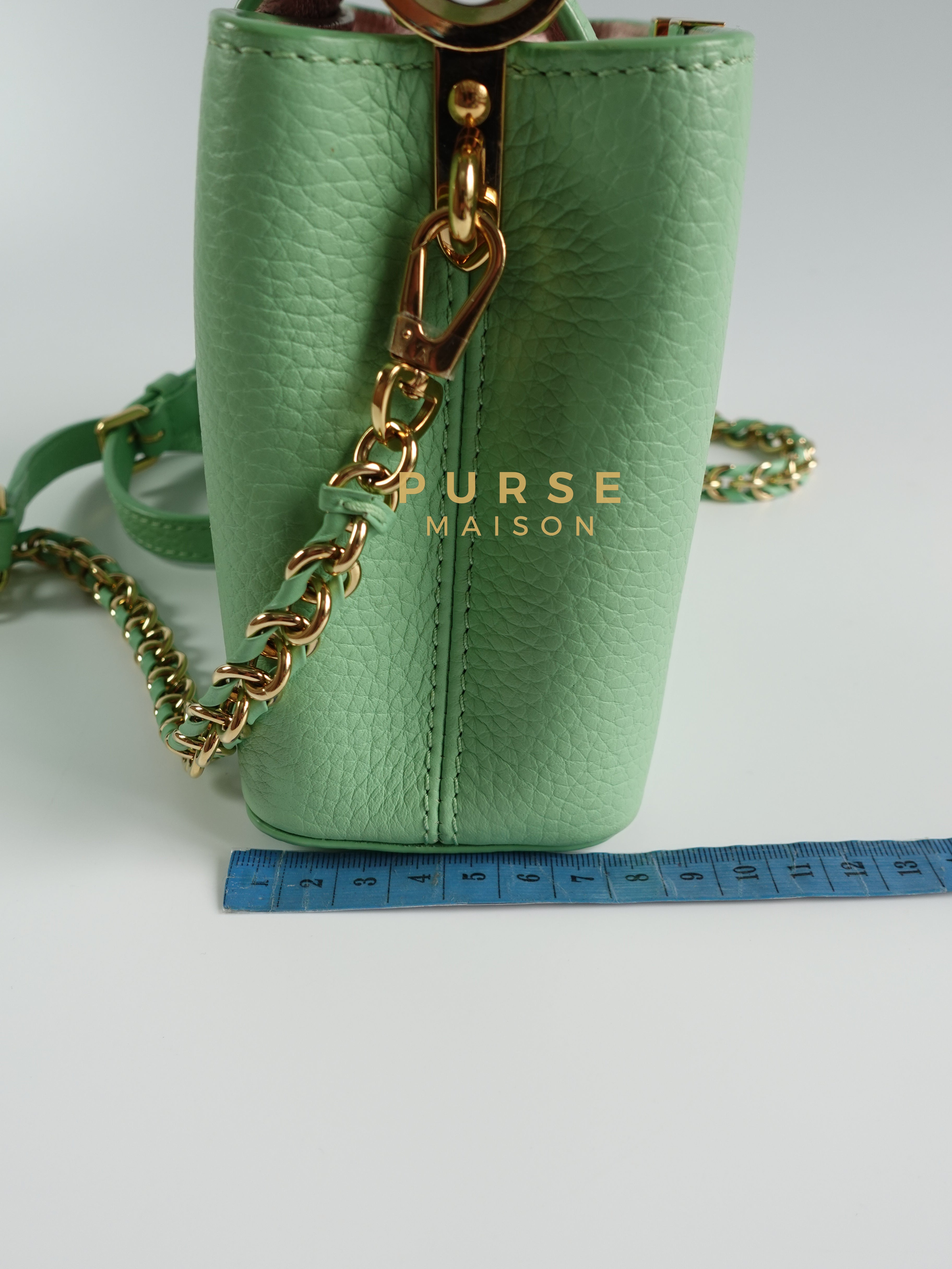 Capucines Mini Vert Pomme (Mint Green) Taurillon Leather Bag (Microchip) | Purse Maison Luxury Bags Shop