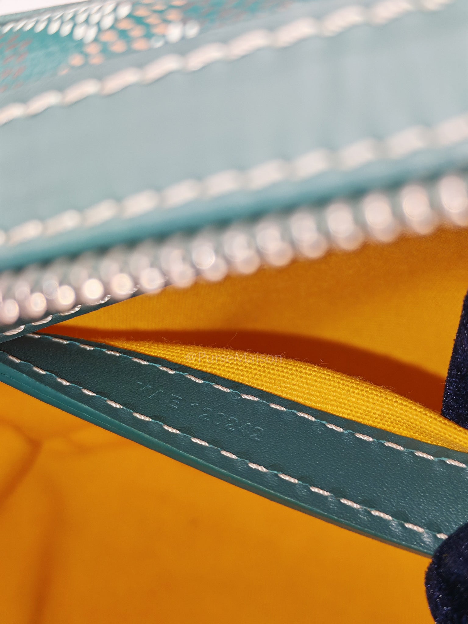 Capvert Crossbody Bag in Green Goyardine Canvas | Purse Maison Luxury Bags Shop