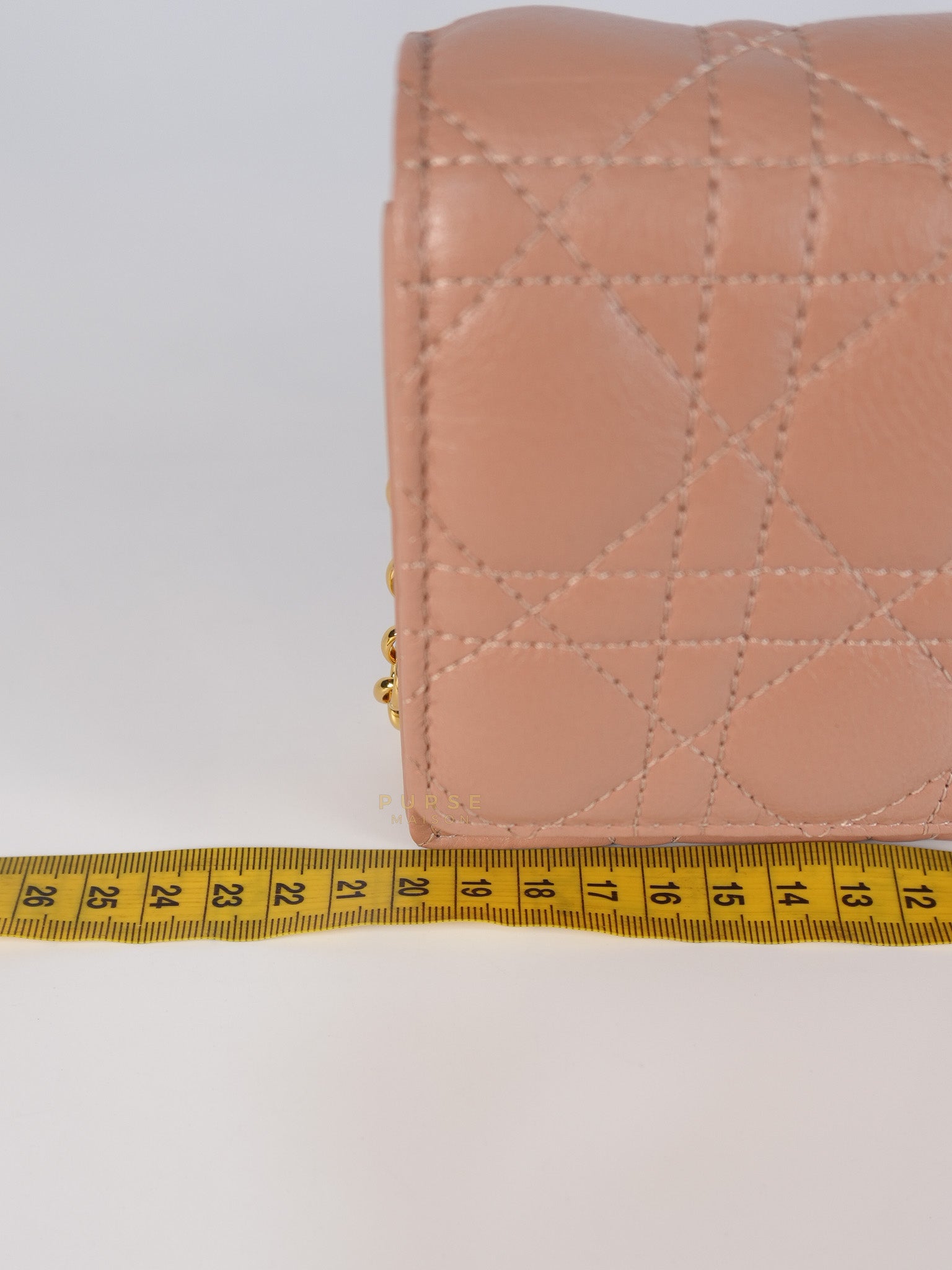 Caro Pouch with Chain in Rose des Vents Supple Cannage Calfskin Leather | Purse Maison Luxury Bags Shop