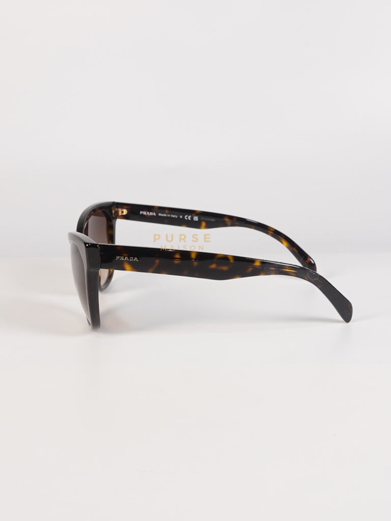 Cat Eye Sunglasses SPR 15V in Black/Brown Tortoise | Purse Maison Luxury Bags Shop
