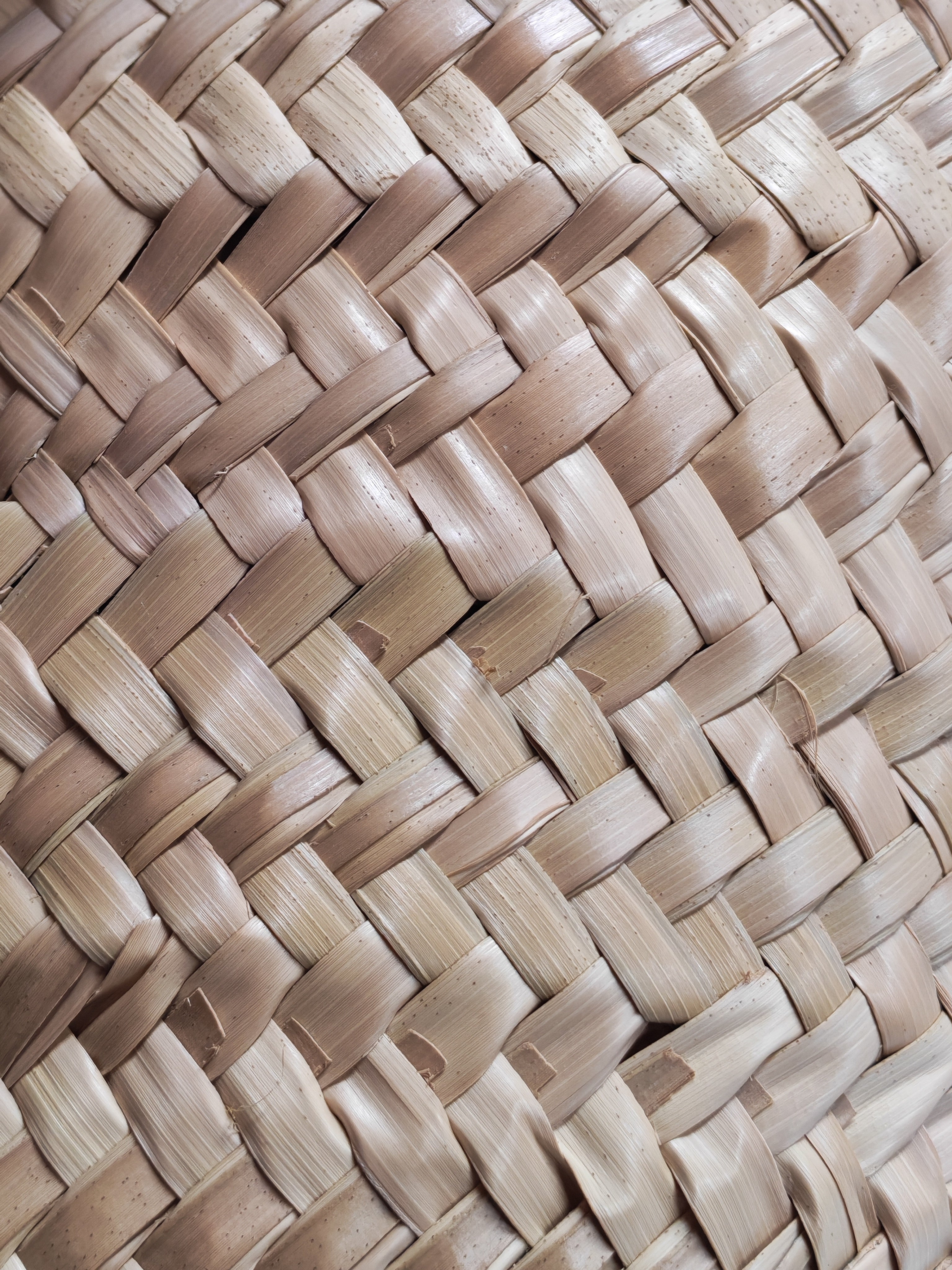 Celine Teen Classic Panier Raffia Woven Tote Bag | Purse Maison Luxury Bags Shop