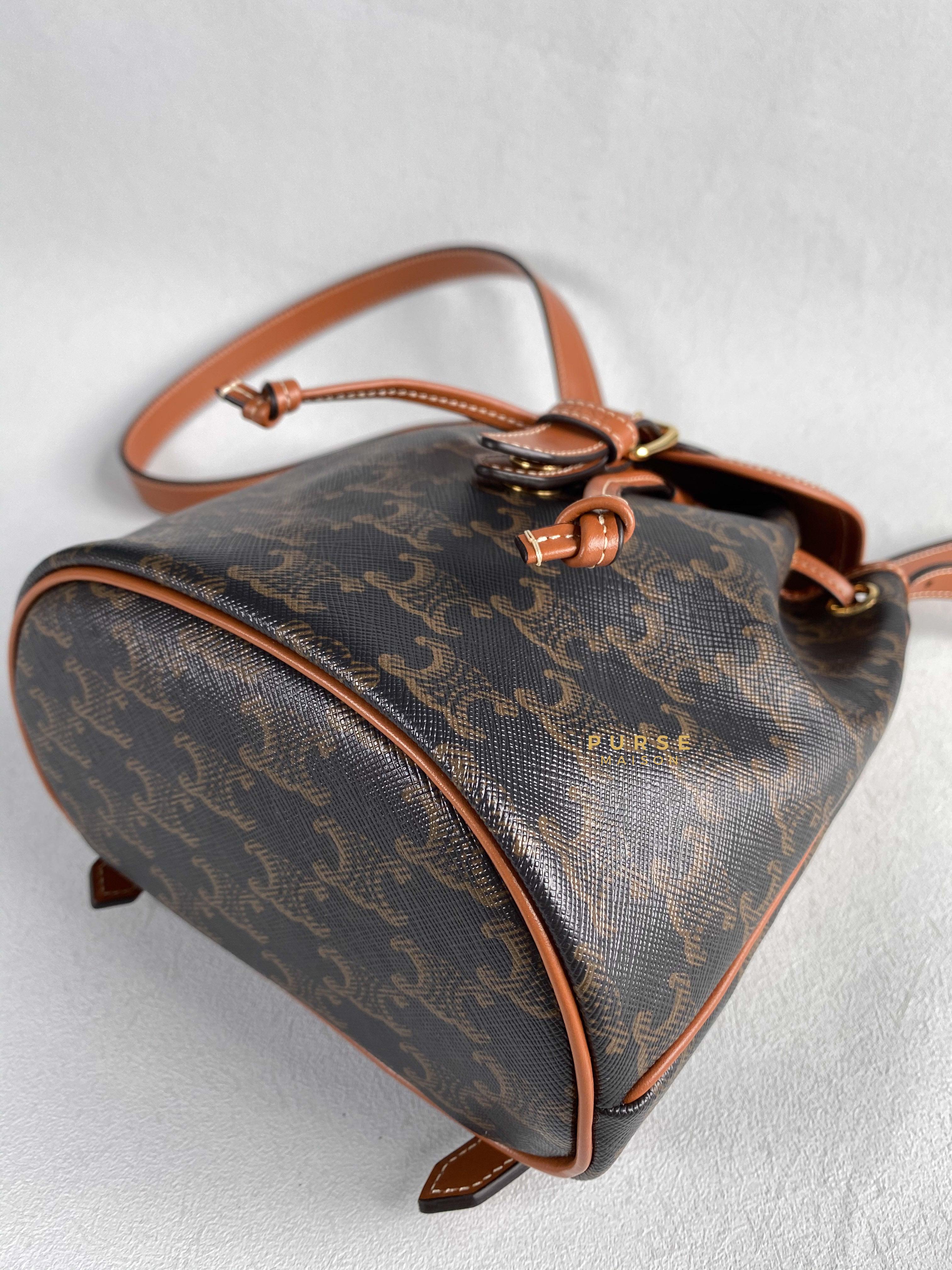 Celine Triomphe Canvas Calfskin Mini Folco Backpack | Purse Maison Luxury Bags Shop