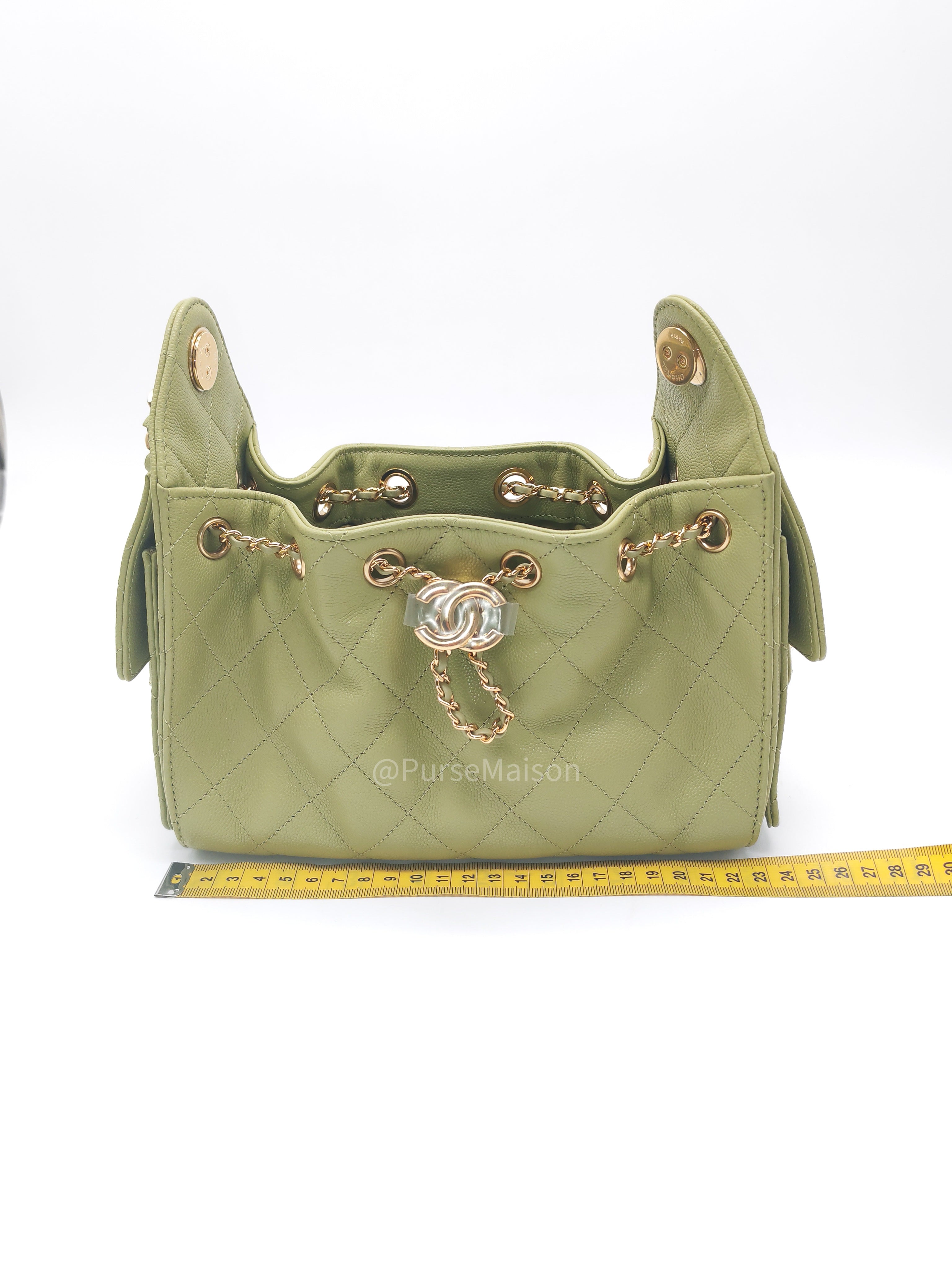 Chanel 25 Hobo Bag Mini in Light Green Caviar Leather Shiny Gold Hardware (Microchip) | Purse Maison Luxury Bags Shop