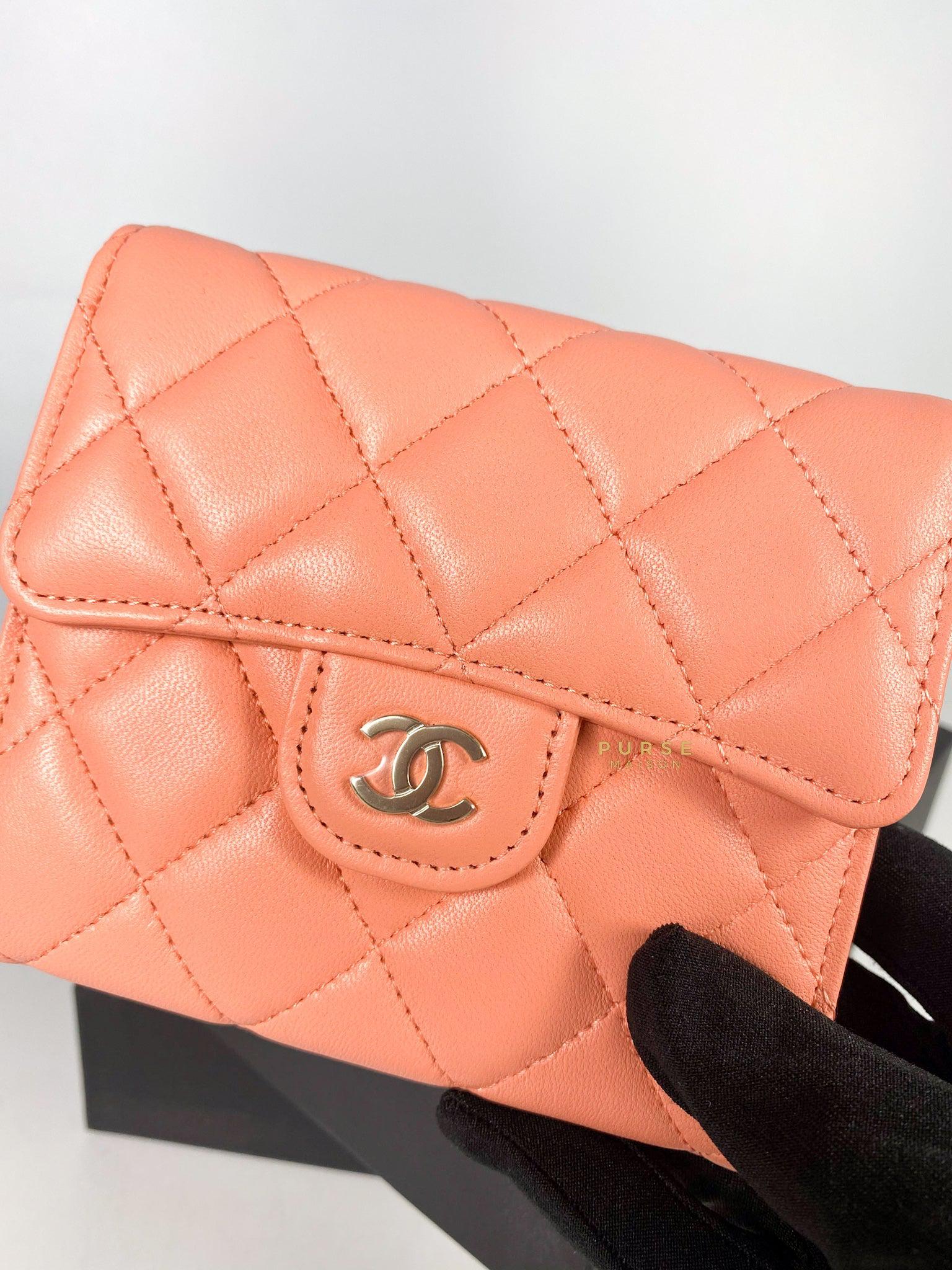 Chanel 22P Small Compact Wallet, Caviar, Pink GHW - Laulay Luxury