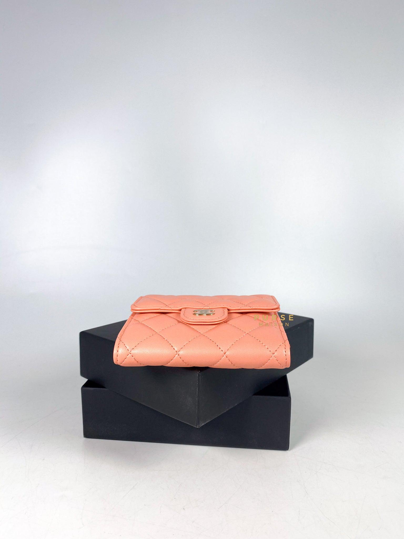 Chanel 22P Small Compact Wallet, Caviar, Pink GHW - Laulay Luxury