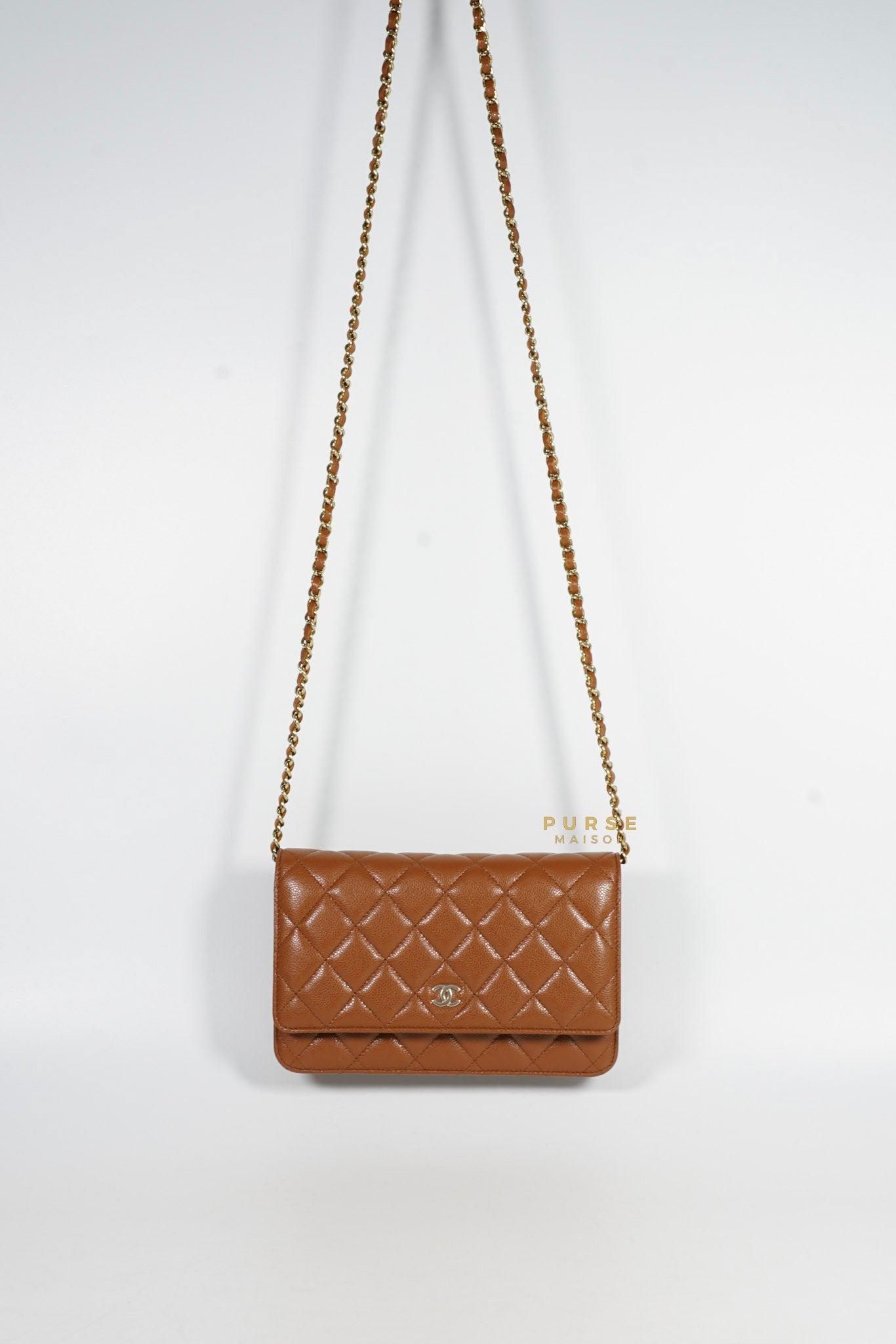 Chanel Classic Wallet on Chain 23A Brown Caviar and Light