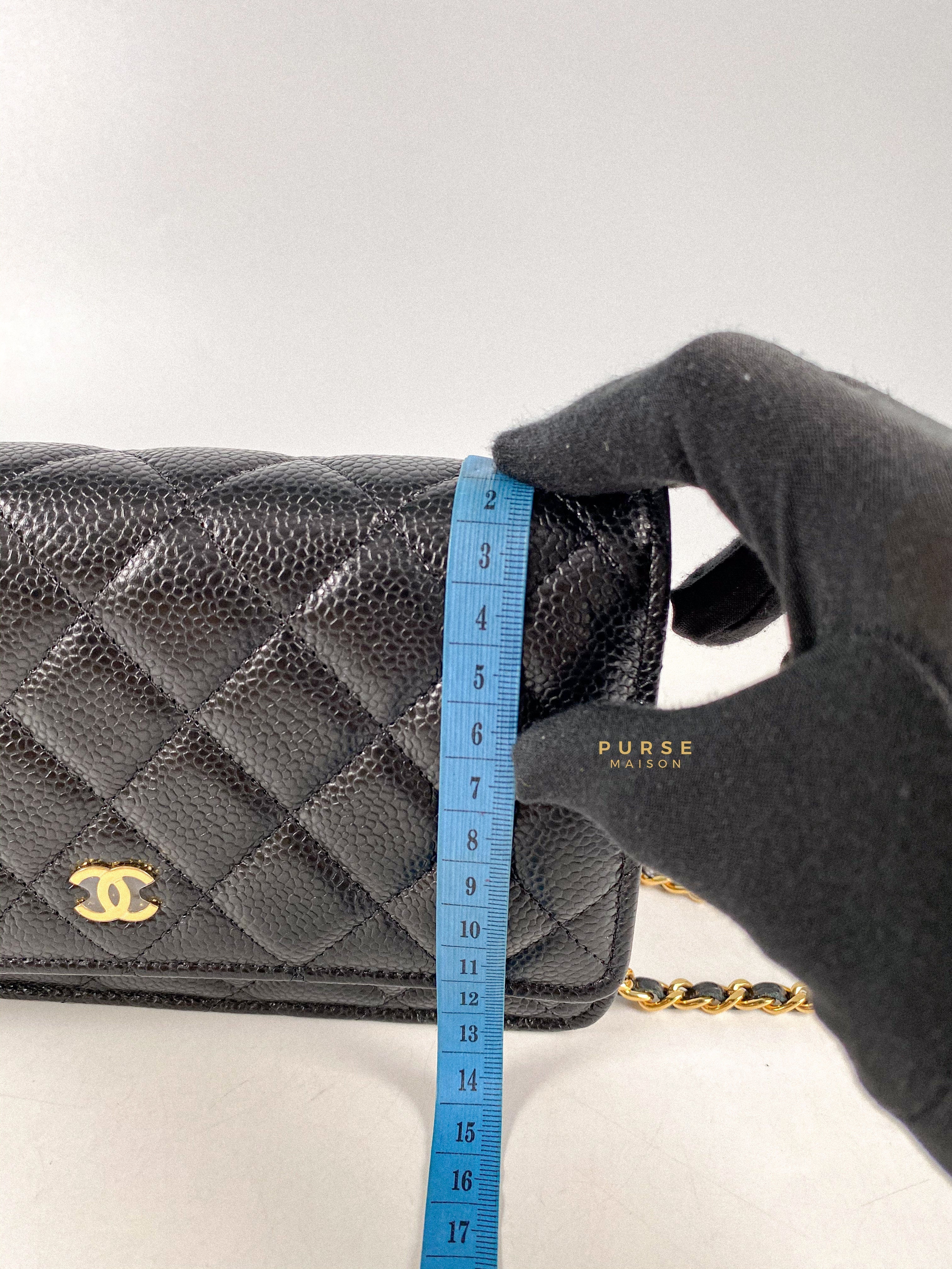 CHANEL Black Caviar Classic Wallet On Chain Microchipped Silver Hardwa –  AYAINLOVE CURATED LUXURIES