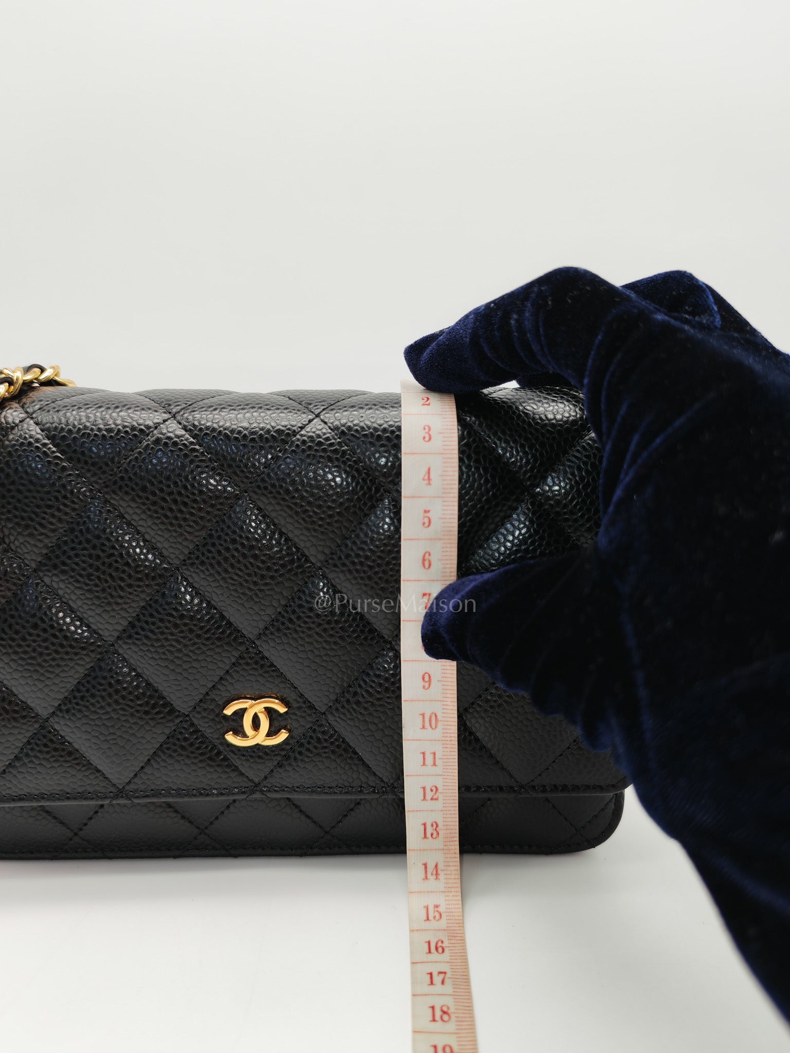 Wallet On Chain (WOC) in Black Quilted Caviar Leather & Gold Hardware Series 26
