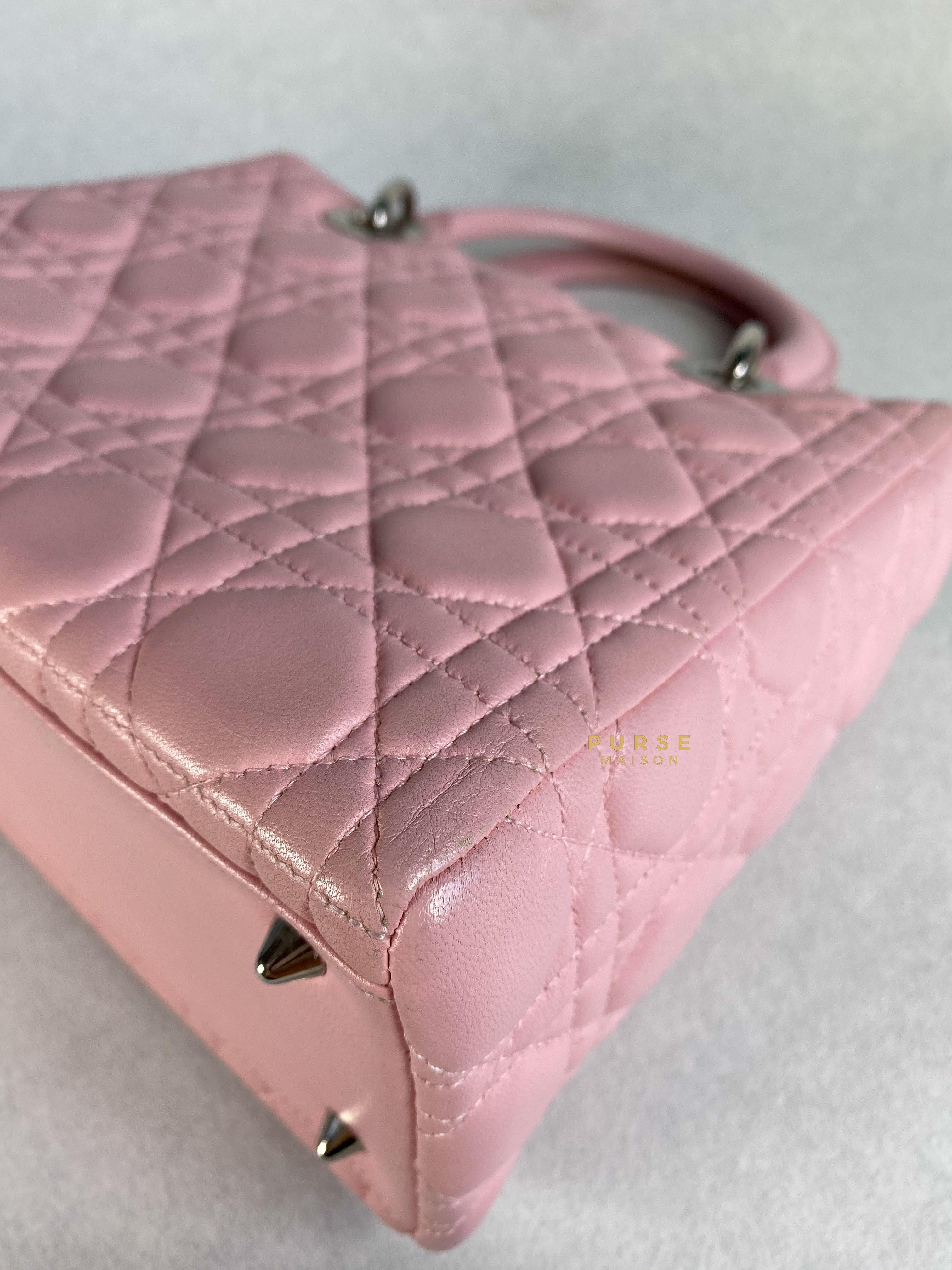 Dior pink online pouch