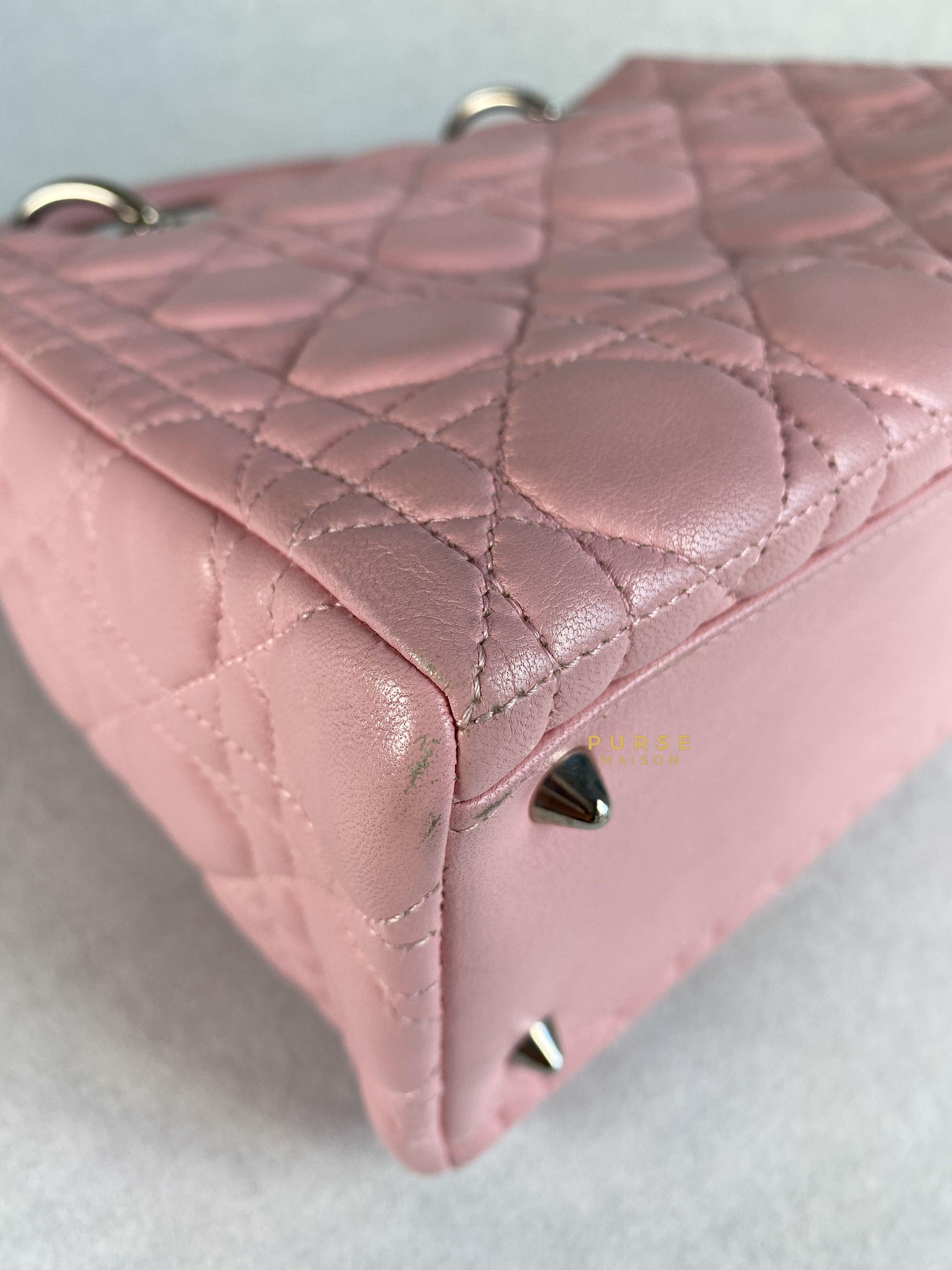 Super Cute DIOR Bag Cosmetic Case in Pink