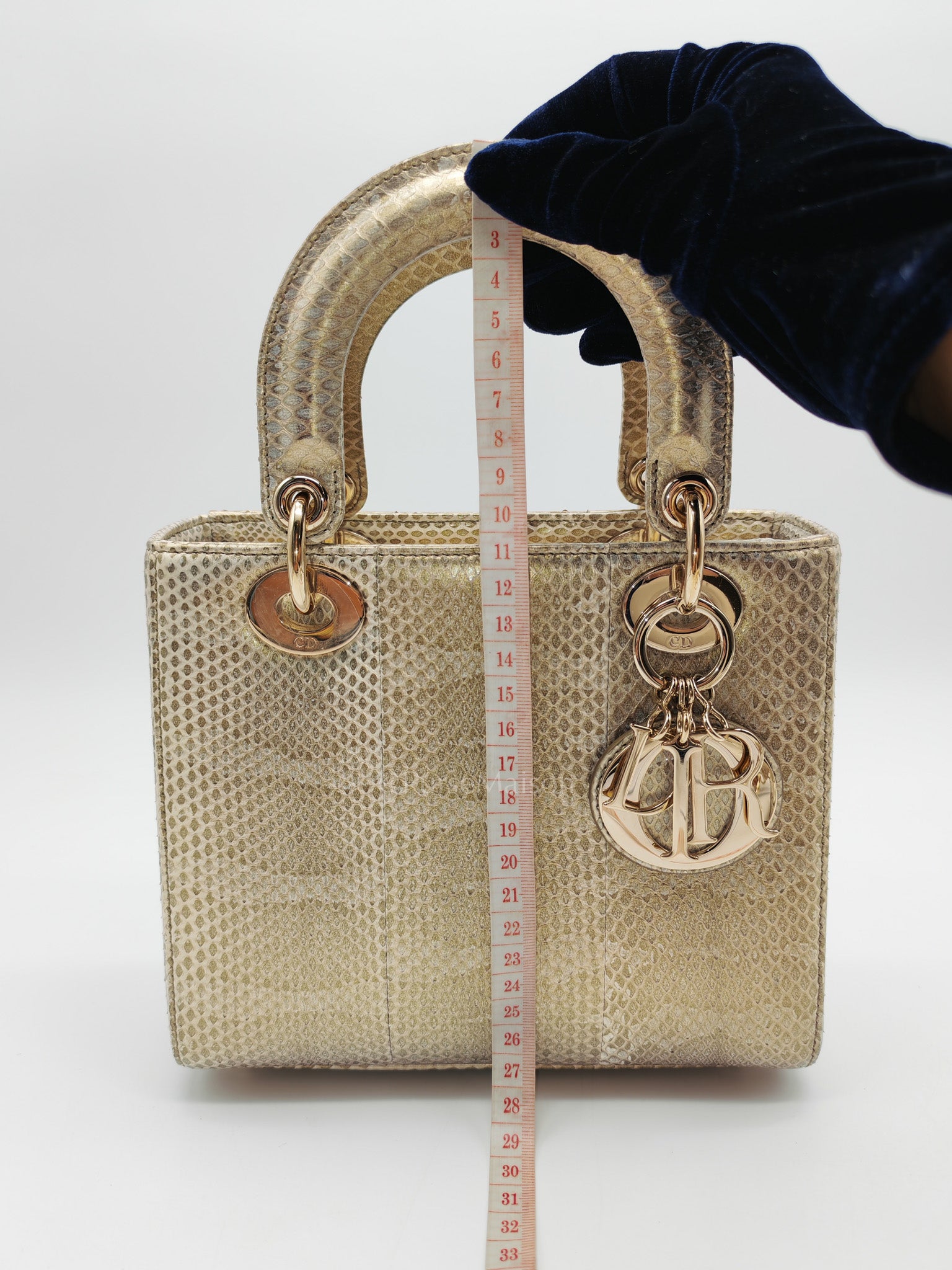 Lady Dior Python Small in Metallic Gold Snakeskin Leather Handbag Light Gold Hardware | Purse Maison Luxury Bags Shop