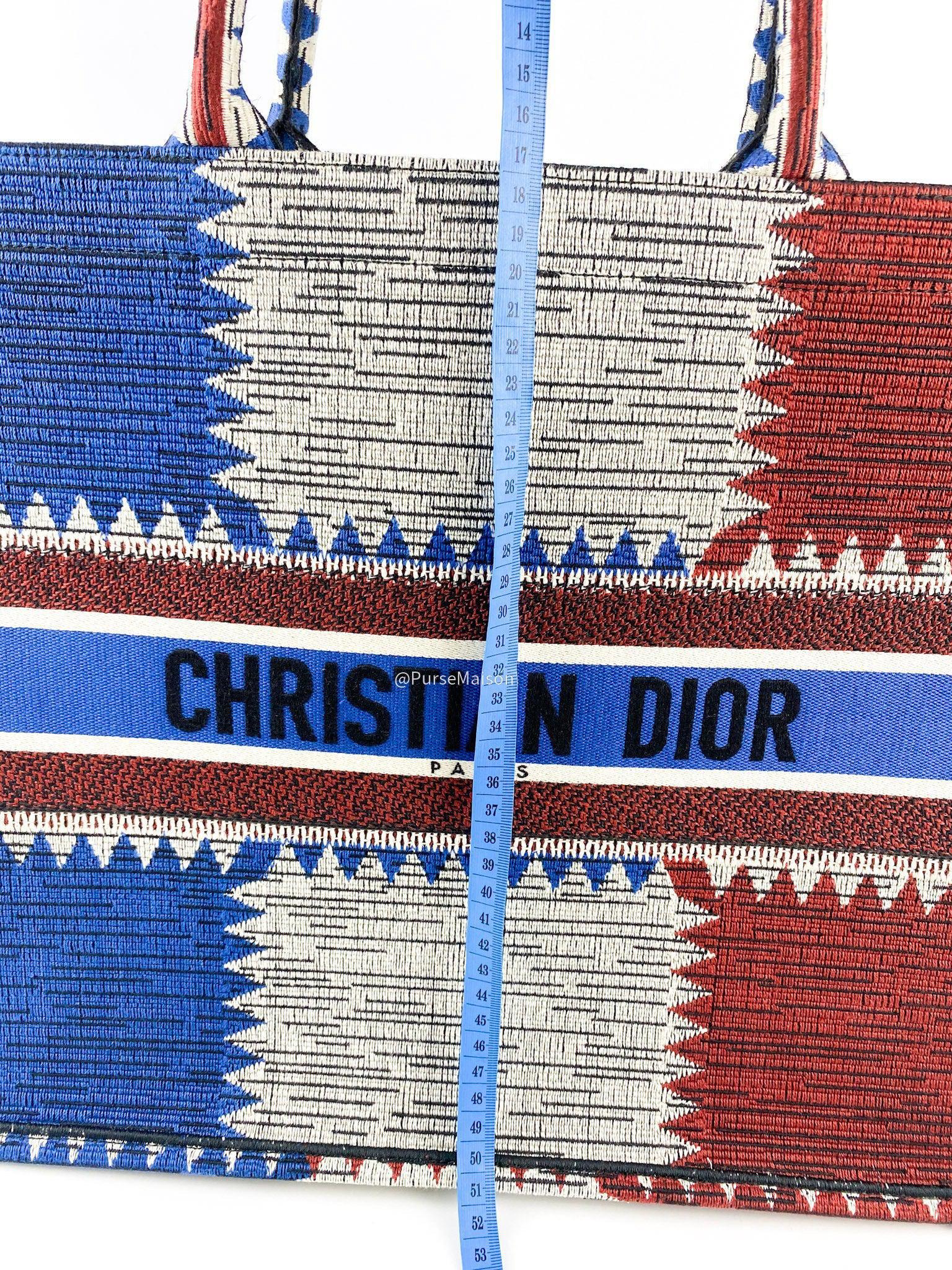 Christian Dior Large Book Tote French Flag 2019 fall/winter collection