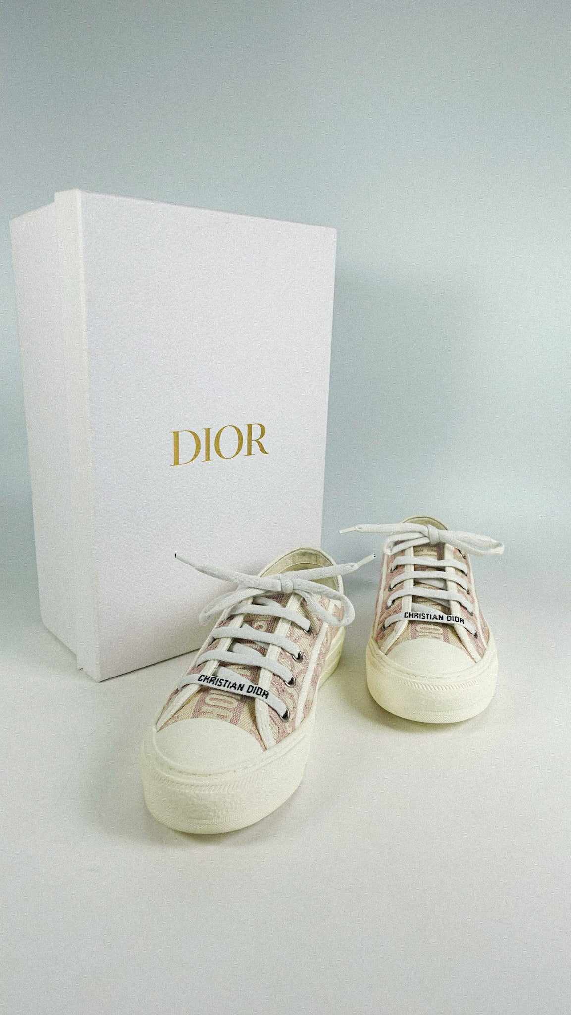 Christian Dior Nude Oblique Embroid Walk’n’ Dior shoes