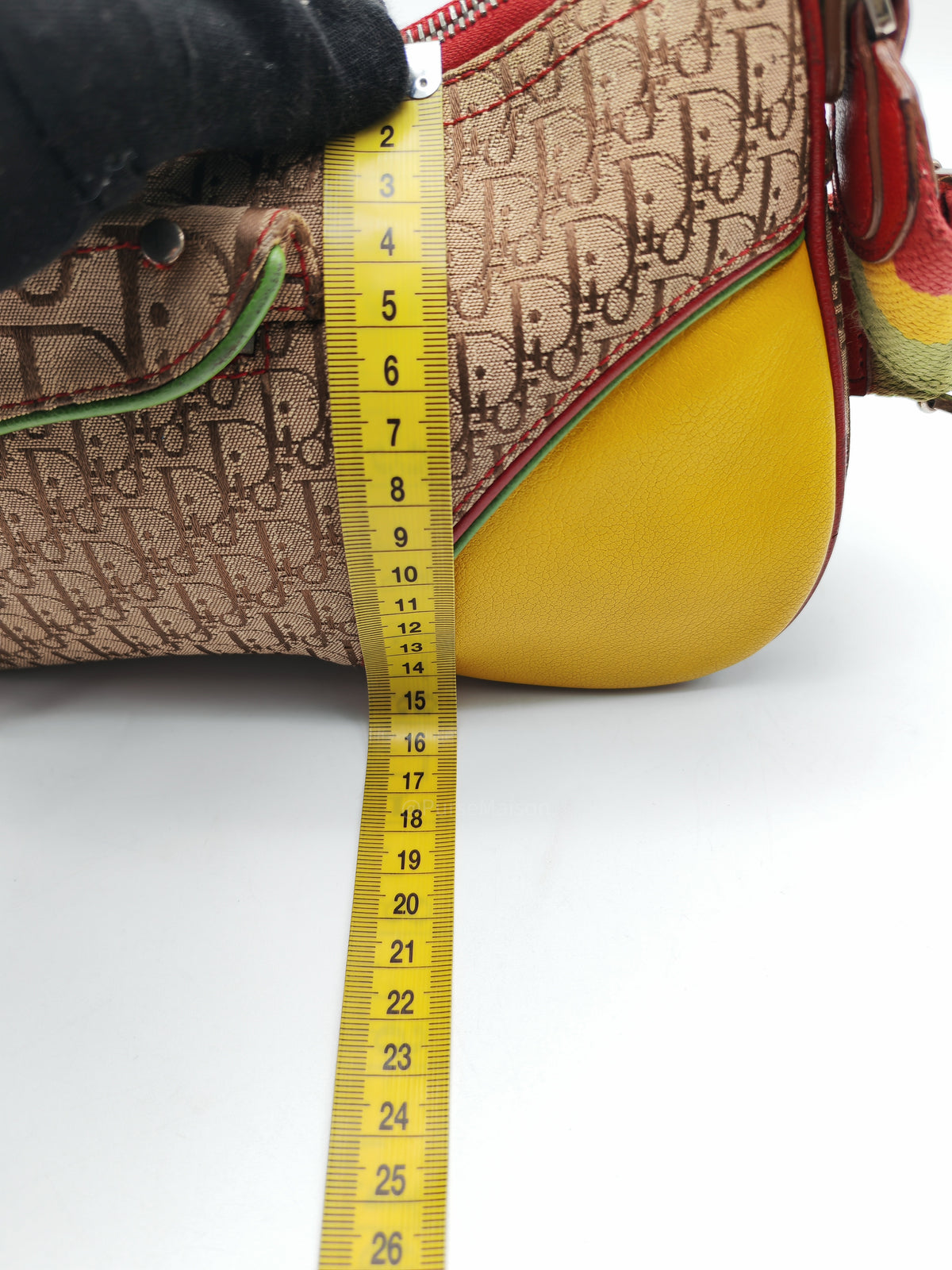 Christian Dior Rasta Trotter Double Saddle Bag in Beige Monogram Canvas with Yellow and Rasta-Colored Accents | Purse Maison Luxury Bags Shop
