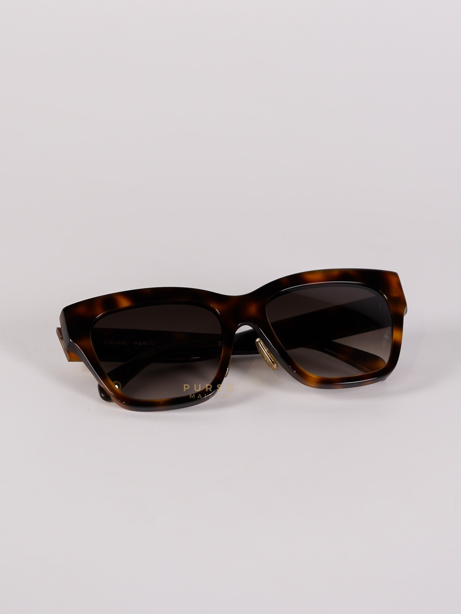 CL40253F Acetate Sunglass | Purse Maison Luxury Bags Shop