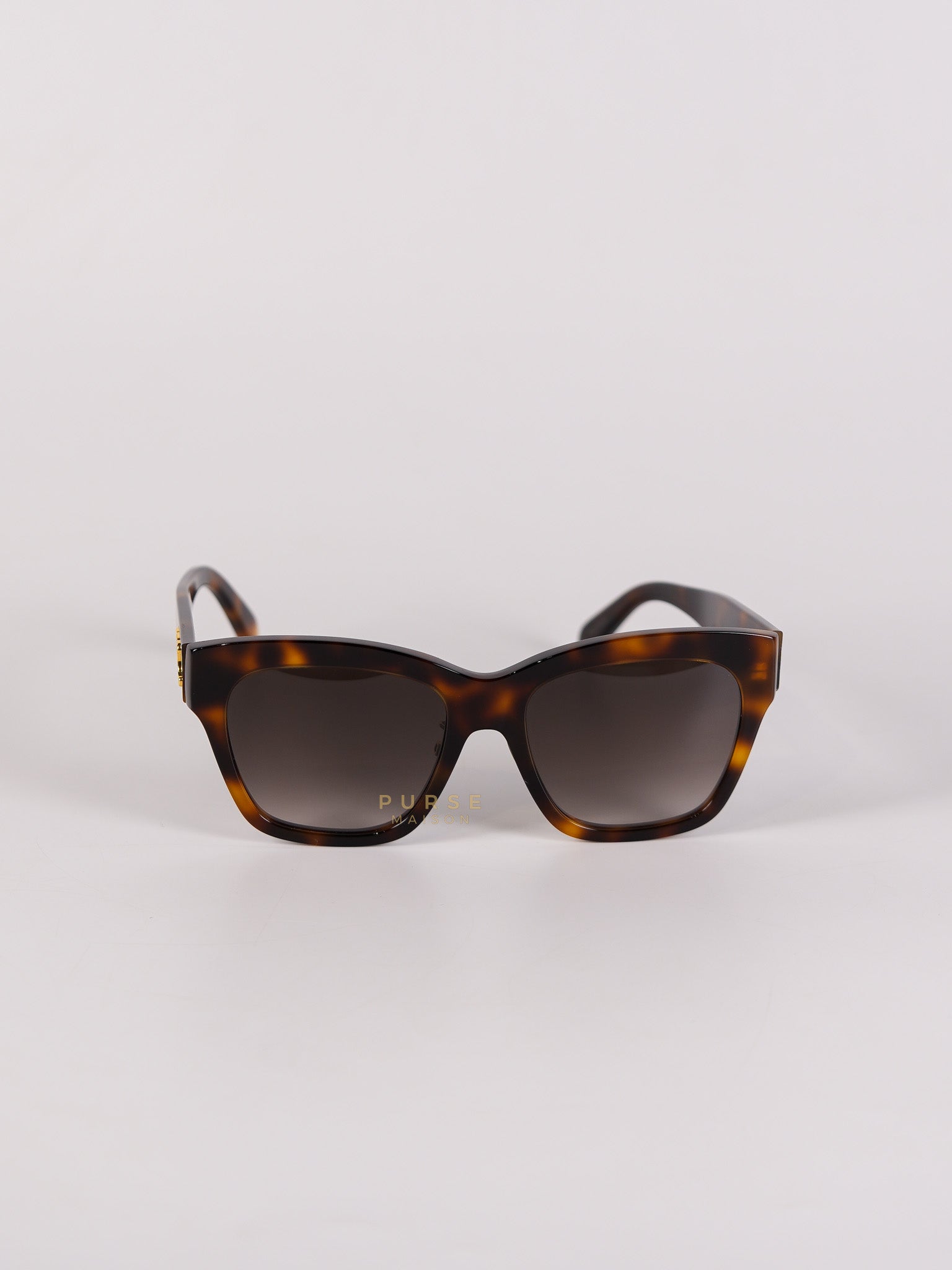 CL40253F Acetate Sunglass | Purse Maison Luxury Bags Shop