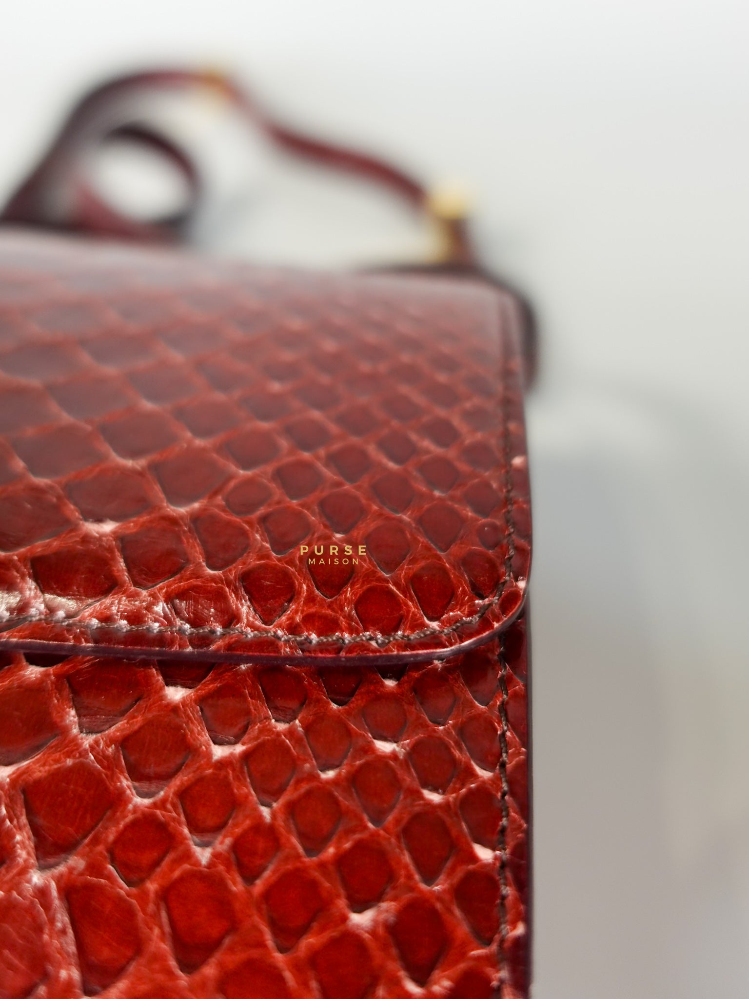 Classic Box Maroon Python Mini Shoulder Bag | Purse Maison Luxury Bags Shop