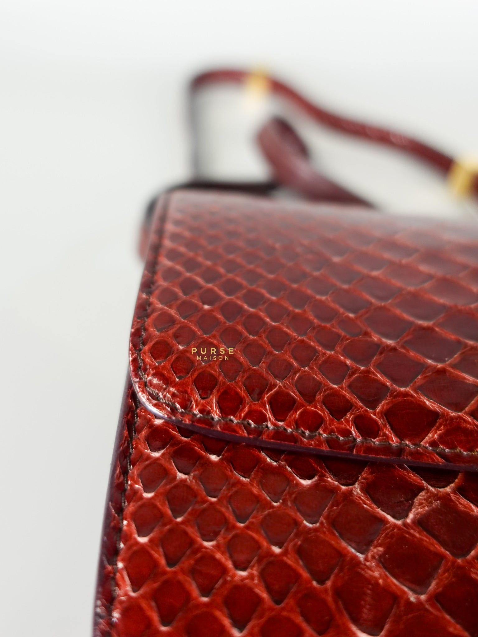 Classic Box Maroon Python Mini Shoulder Bag | Purse Maison Luxury Bags Shop