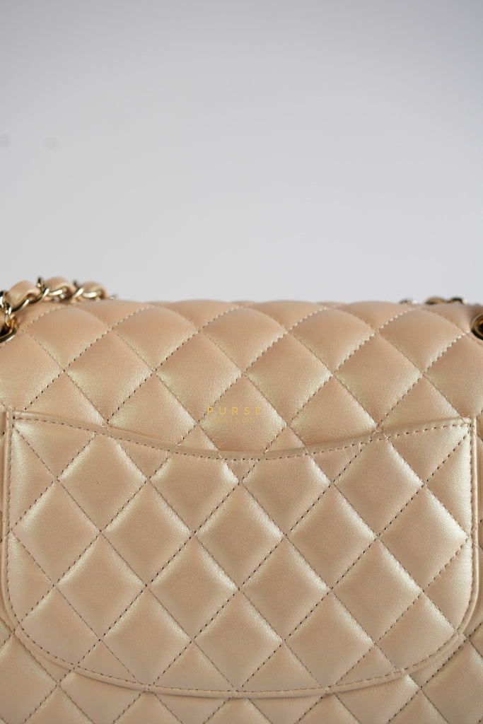 Classic Medium Double Flap Beige Iridescent Calfskin Leather Light Gold Hardware Series 31 | Purse Maison Luxury Bags Shop