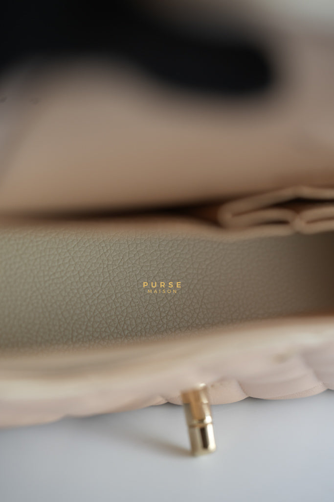 Classic Medium Double Flap Beige Iridescent Calfskin Leather Light Gold Hardware Series 31 | Purse Maison Luxury Bags Shop