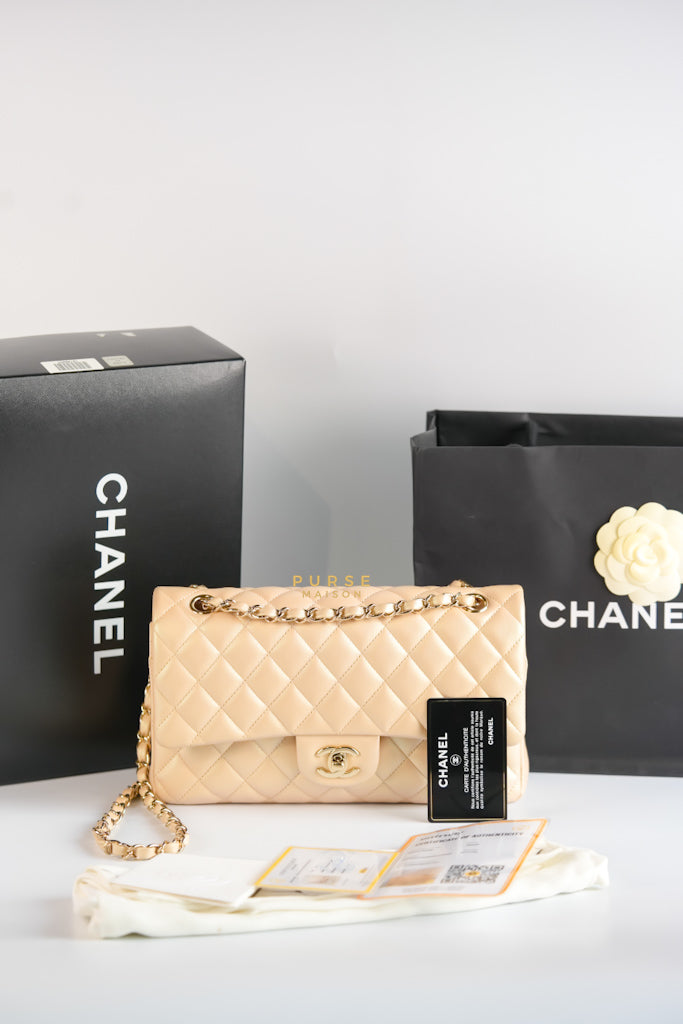Classic Medium Double Flap Beige Iridescent Calfskin Leather Light Gold Hardware Series 31 | Purse Maison Luxury Bags Shop