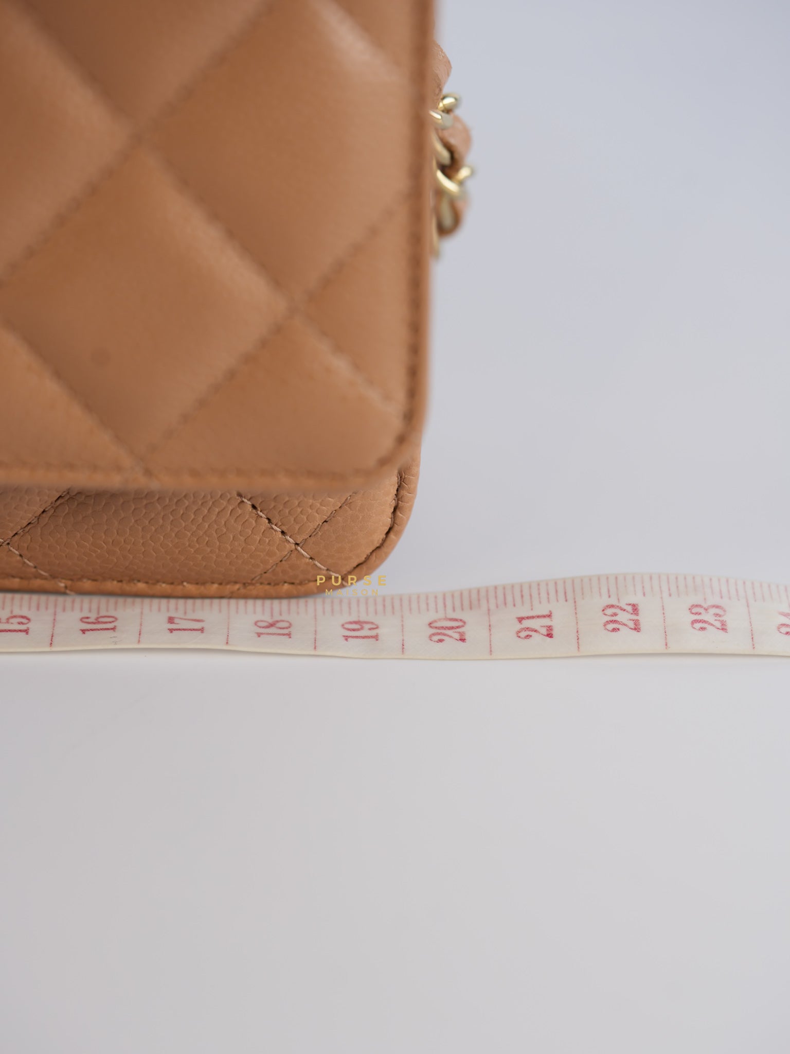 Classic Wallet on Chain (WOC) Dark Beige Caviar and Light Gold Hardware (Microchip) | Purse Maison Luxury Bags Shop