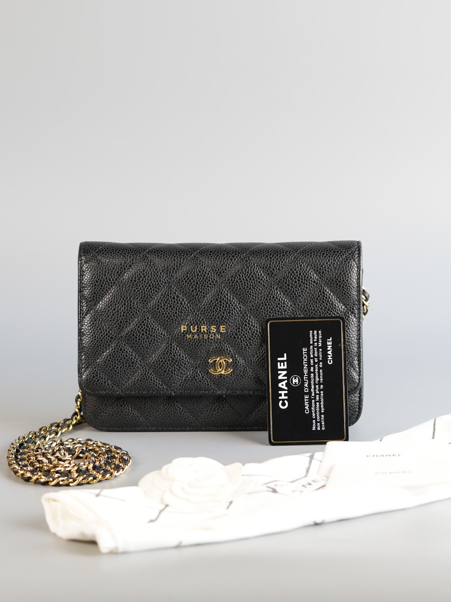 Classic Wallet on Chain (WOC) in Black Caviar Leather & Gold Hardware Series 28 | Purse Maison Luxury Bags Shop