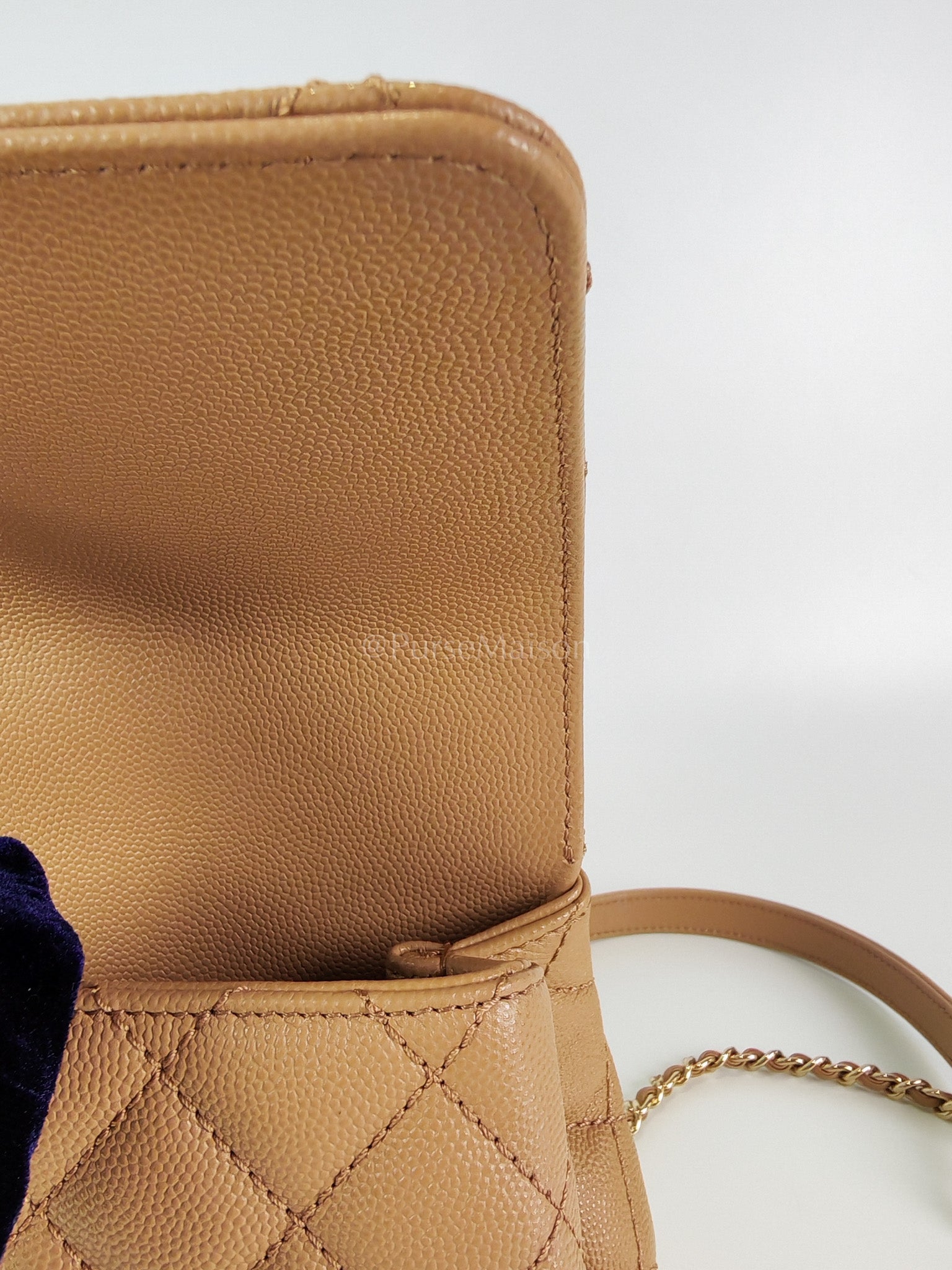 Coco Handle Mini in Dark Beige Caviar Leather Light Gold Hardware(Microchip) | Purse Maison Luxury Bags Shop