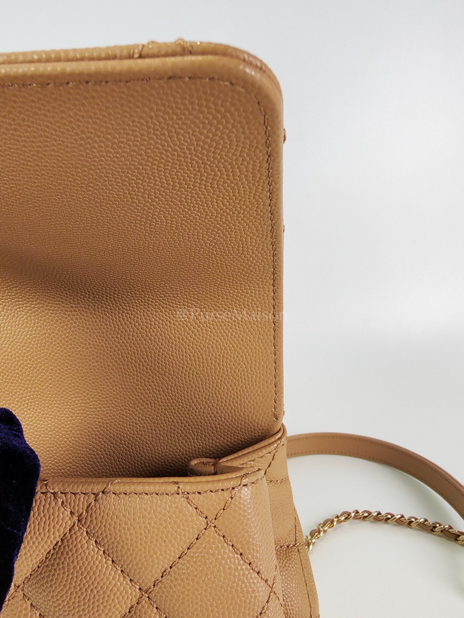 Coco Handle Mini in Dark Beige Caviar Leather Light Gold Hardware(Microchip) | Purse Maison Luxury Bags Shop