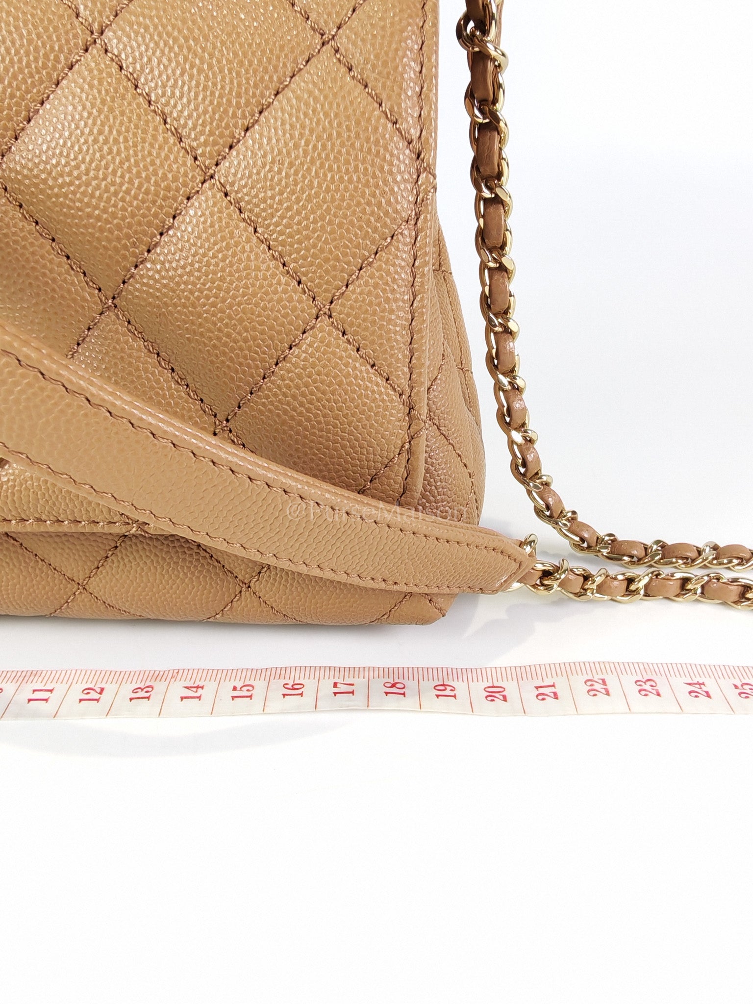 Coco Handle Mini in Dark Beige Caviar Leather Light Gold Hardware(Microchip) | Purse Maison Luxury Bags Shop