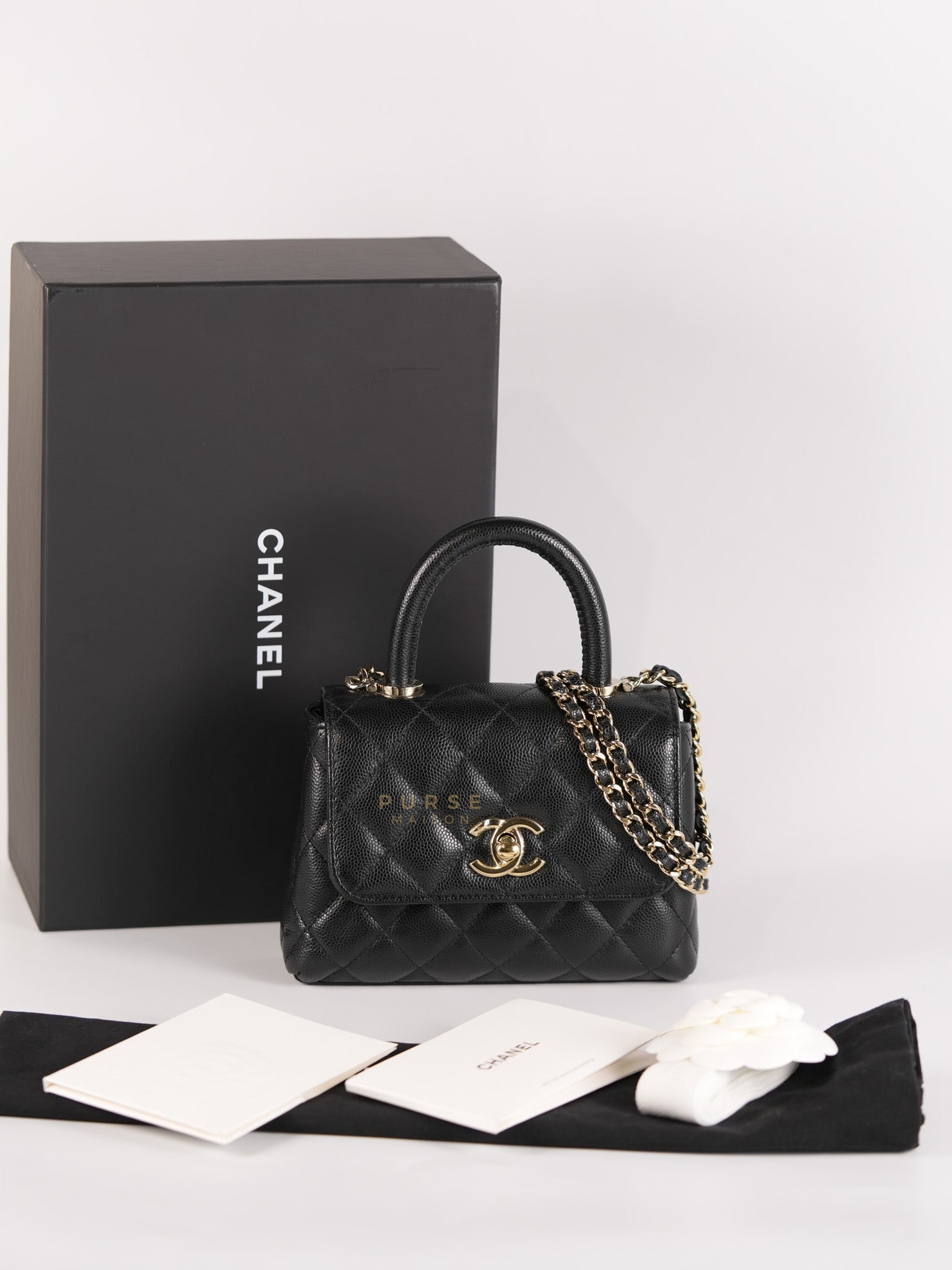 Coco Handle Nano in Black Caviar Leather and Light Gold Hardware (Microchip) | Purse Maison Luxury Bags Shop