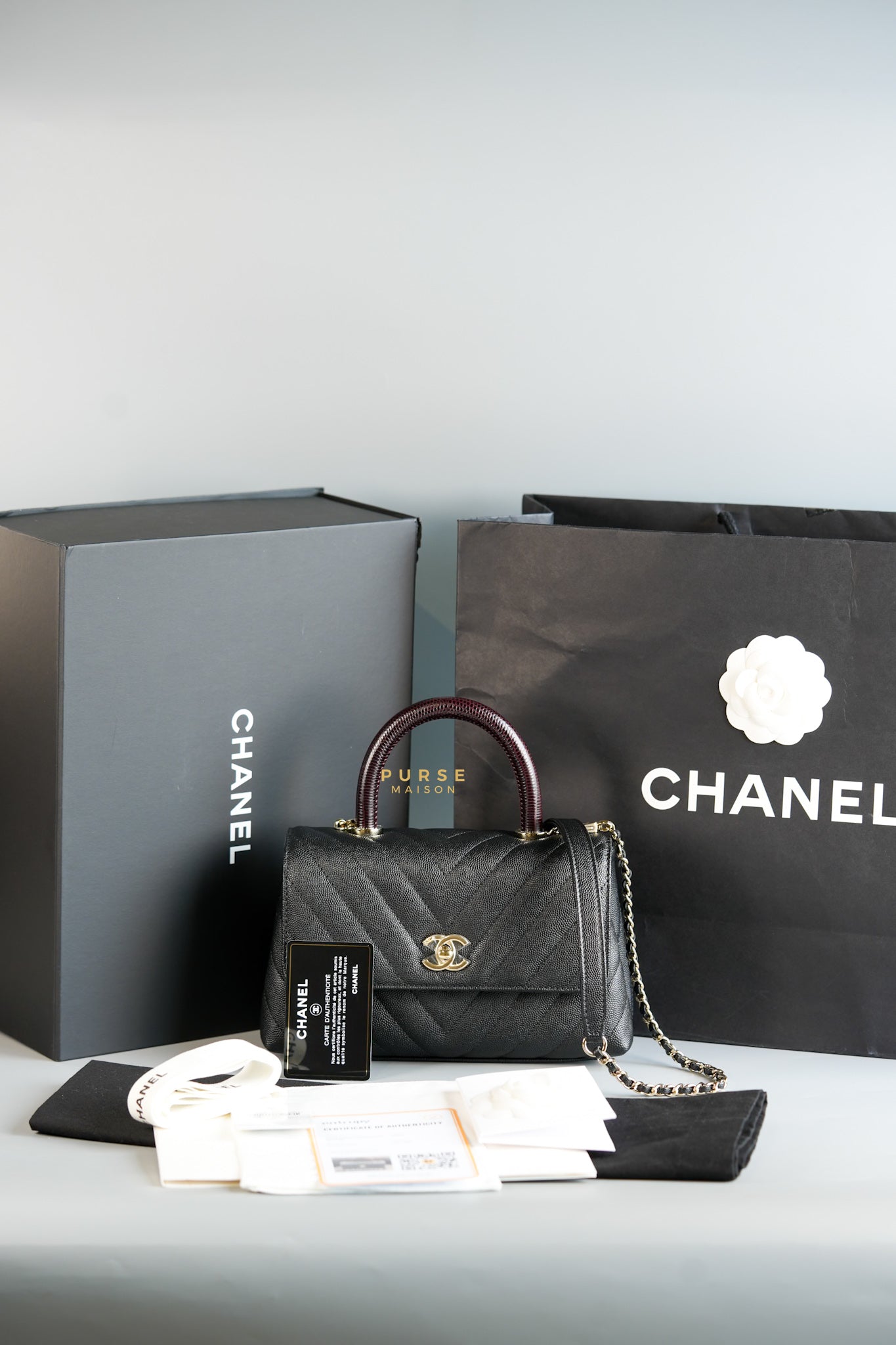 Coco Handle Small Black Caviar Limited Lizard Handle Light Gold Hardware (Series 30) | Purse Maison Luxury Bags Shop