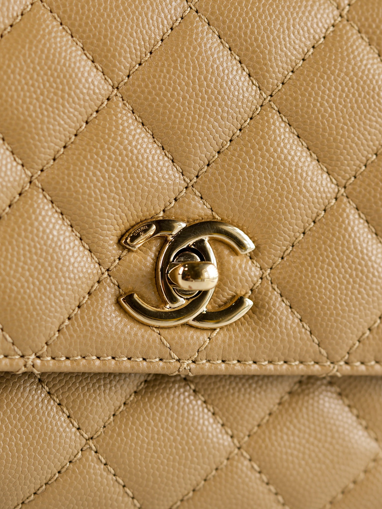 Coco Handle Small in Beige Caviar Leather White Gold Hardware(Microchip) | Purse Maison Luxury Bags Shop