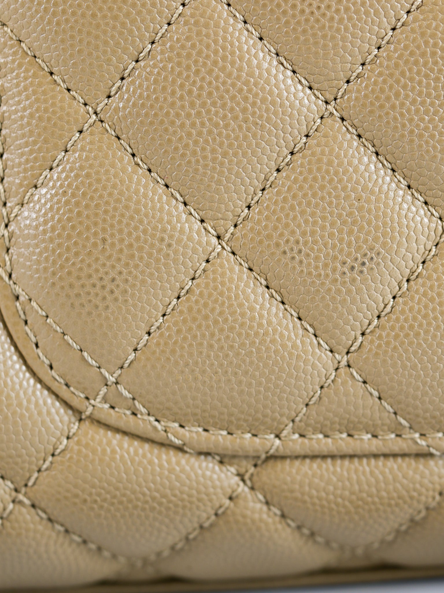 Coco Handle Small in Beige Caviar Leather White Gold Hardware(Microchip) | Purse Maison Luxury Bags Shop