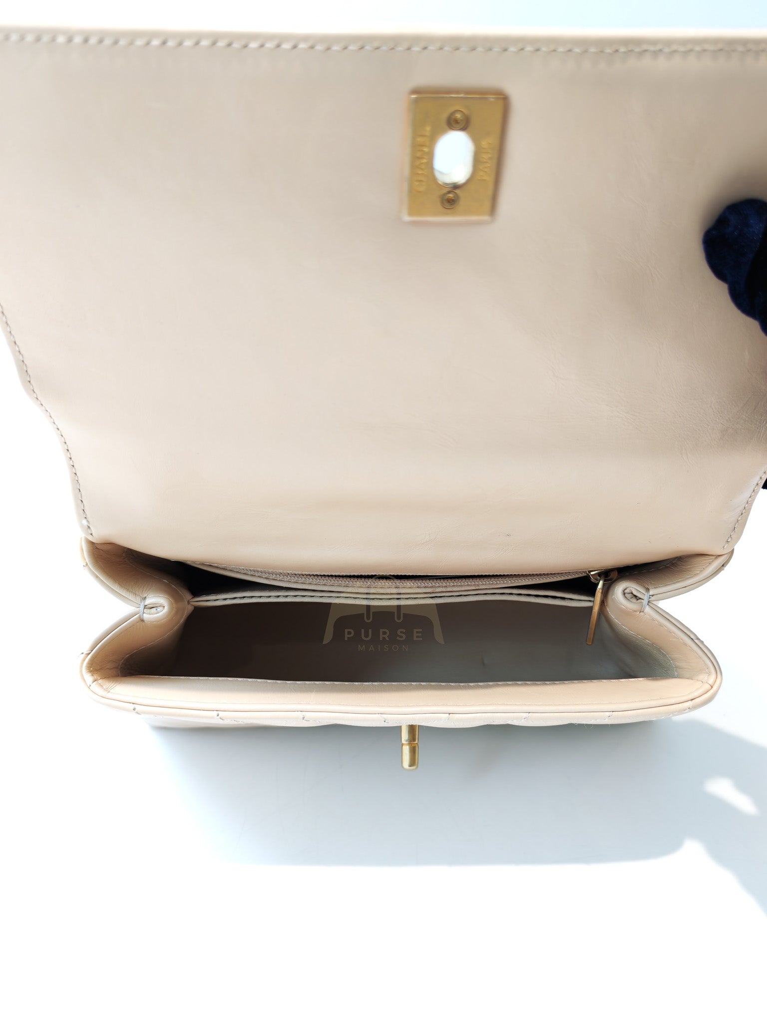 Coco Handle Small in Beige Lizard Embossed Handle & Aged Gold Hardware(Series 25) | Purse Maison Luxury Bags Shop