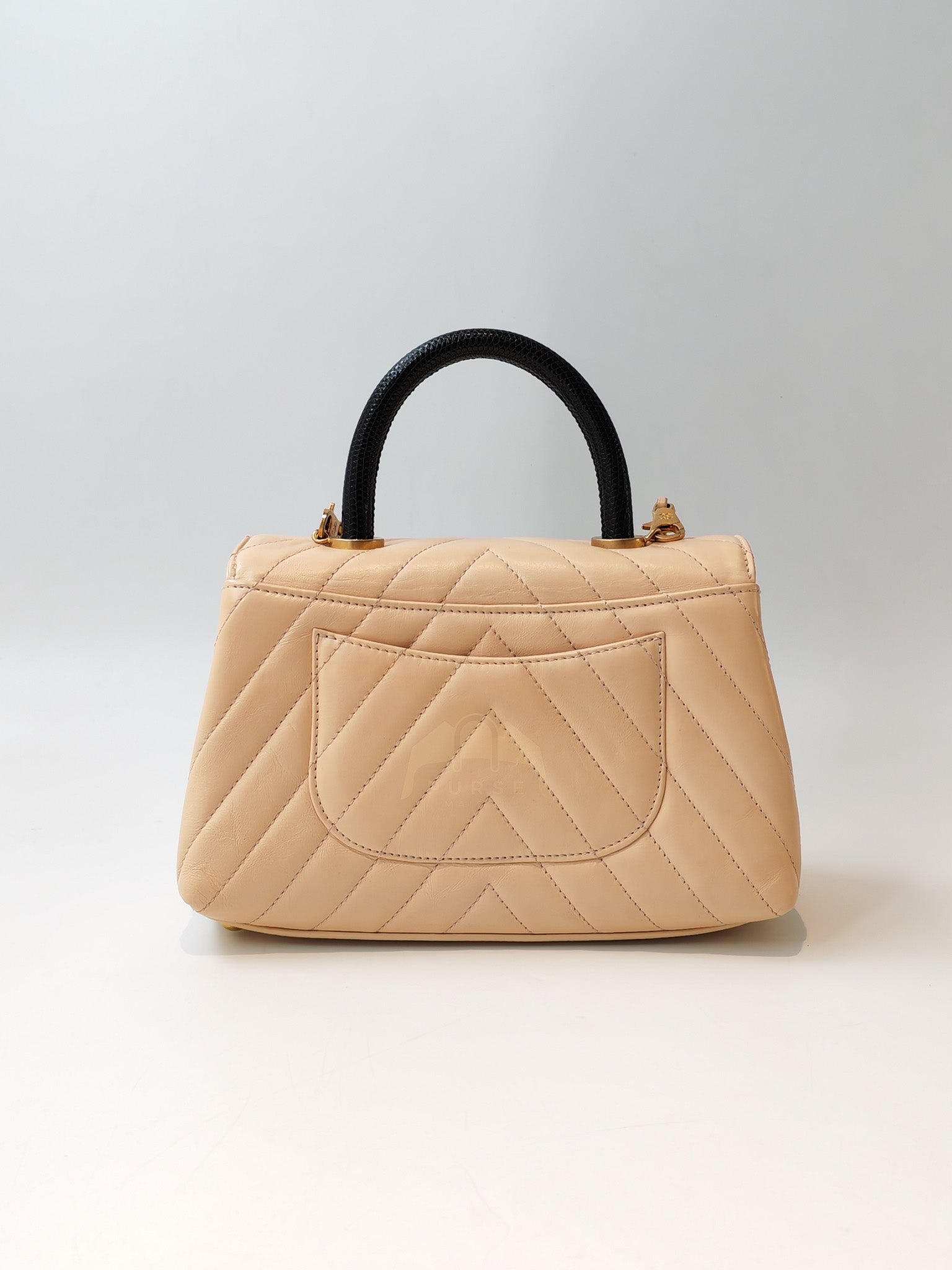 Coco Handle Small in Beige Lizard Embossed Handle & Aged Gold Hardware(Series 25) | Purse Maison Luxury Bags Shop