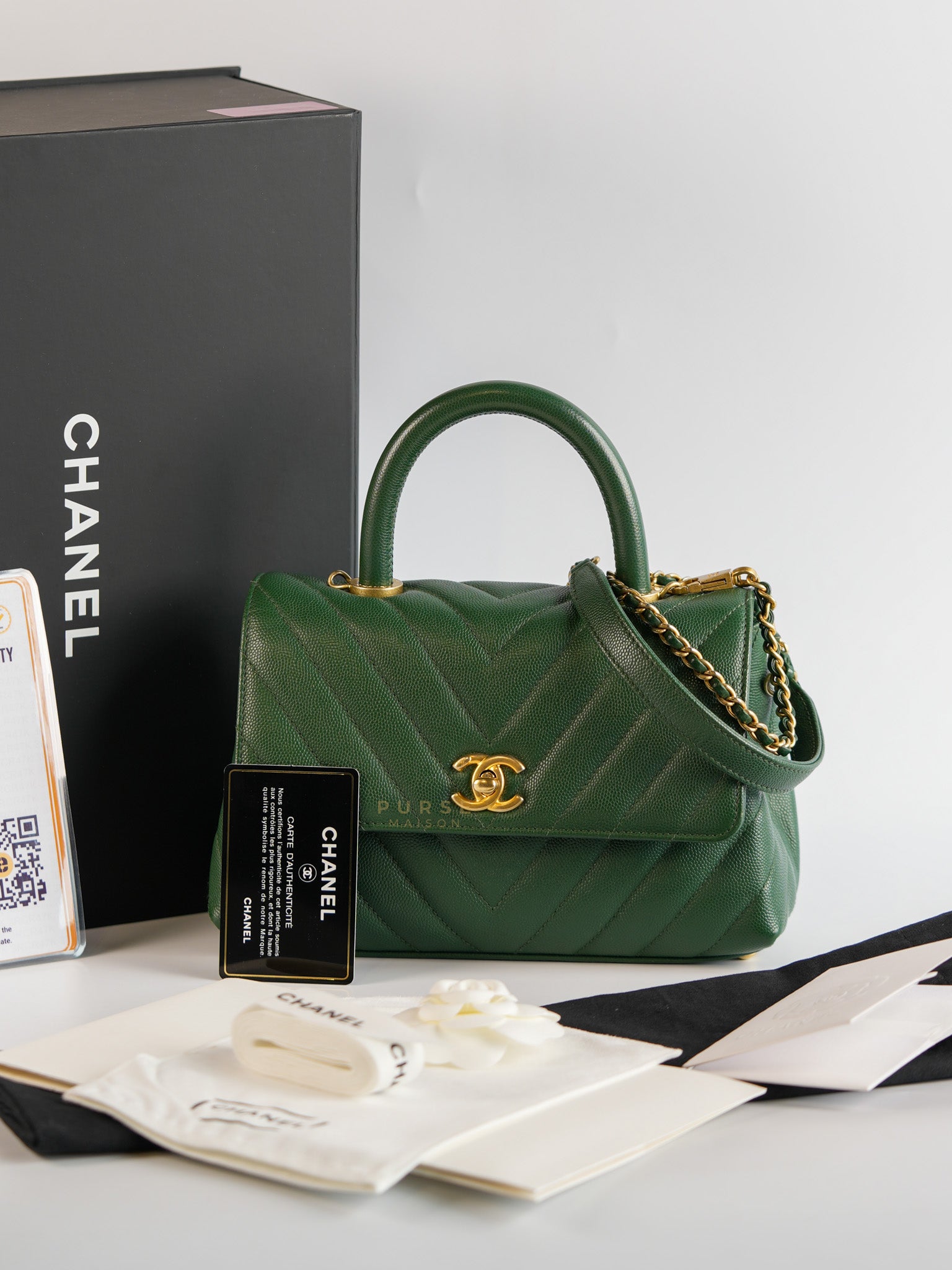 Coco Handle Small in Green Chevron and Aged Gold Hardware Series 26 | Purse Maison Luxury Bags Shop
