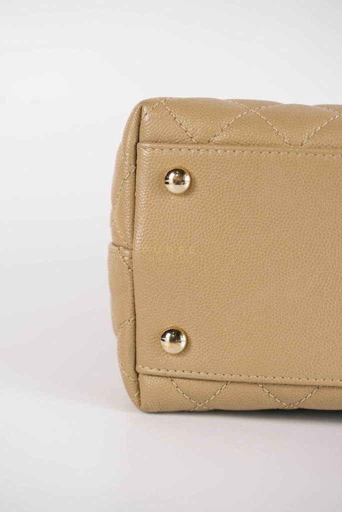 Coco Lizard-Embossed Top Handle Medium in Dark Beige Caviar Leather & Gold Hardware Microchip | Purse Maison Luxury Bags Shop