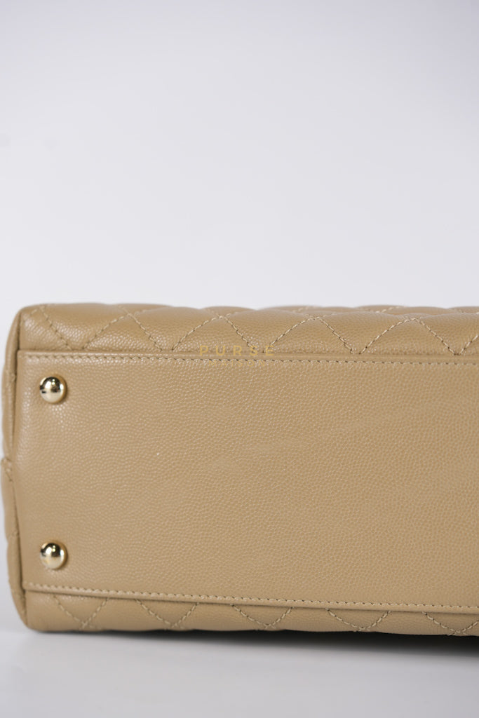 Coco Lizard-Embossed Top Handle Medium in Dark Beige Caviar Leather & Gold Hardware Microchip | Purse Maison Luxury Bags Shop