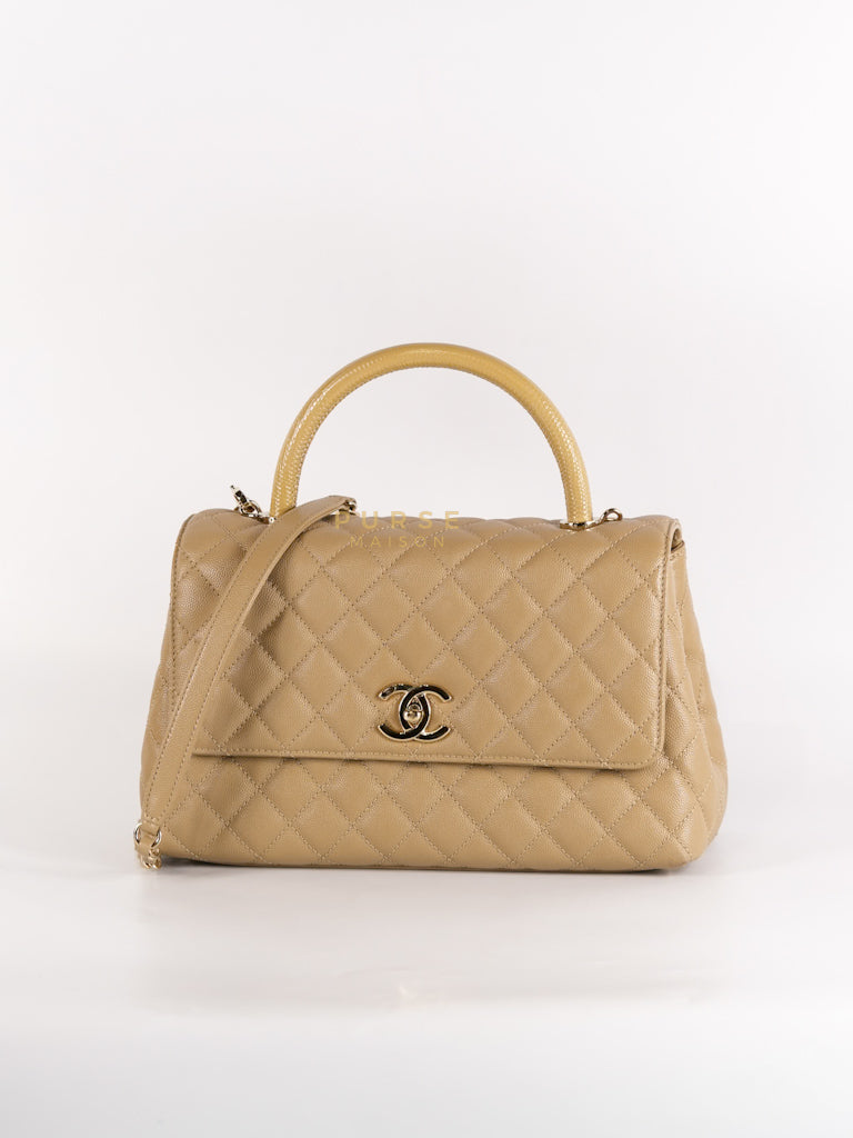 Coco Lizard-Embossed Top Handle Medium in Dark Beige Caviar Leather & Gold Hardware Microchip | Purse Maison Luxury Bags Shop