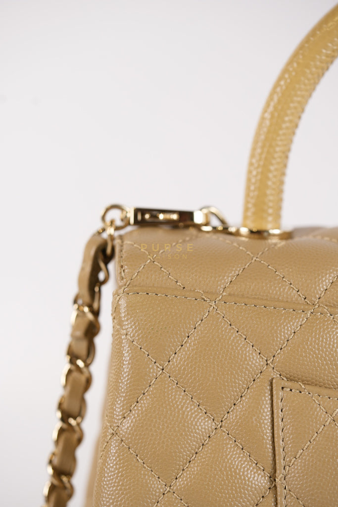 Coco Lizard-Embossed Top Handle Medium in Dark Beige Caviar Leather & Gold Hardware Microchip | Purse Maison Luxury Bags Shop
