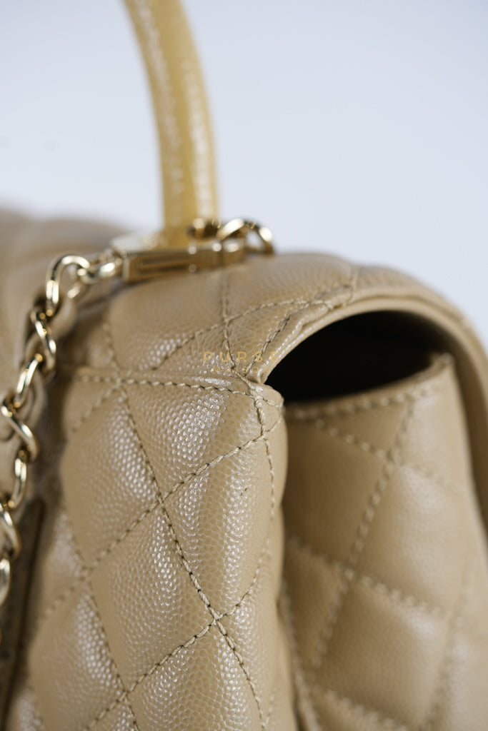 Coco Lizard-Embossed Top Handle Medium in Dark Beige Caviar Leather & Gold Hardware Microchip | Purse Maison Luxury Bags Shop