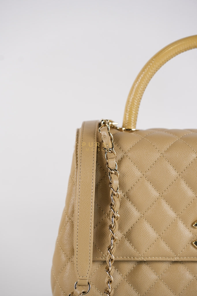 Coco Lizard-Embossed Top Handle Medium in Dark Beige Caviar Leather & Gold Hardware Microchip | Purse Maison Luxury Bags Shop